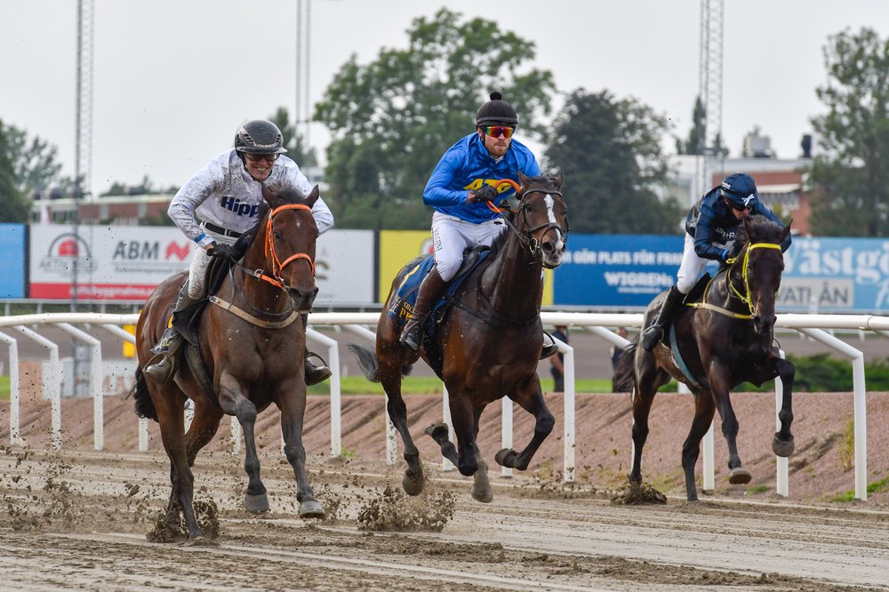 Eriks blogg: Uppbyggnad och målbild i fokus - Ridsport