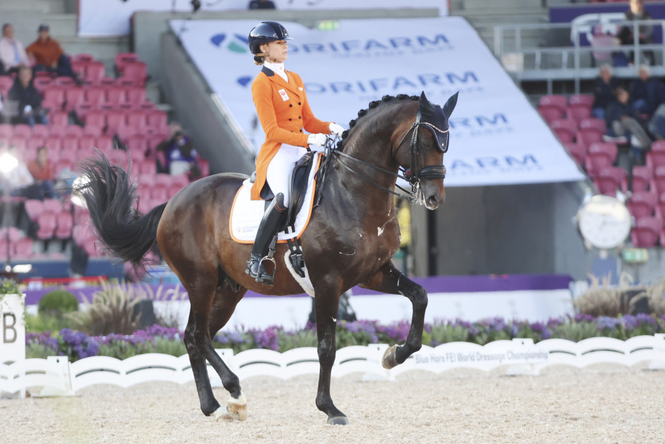 N.O.P. räddar hästar för OS-satsning