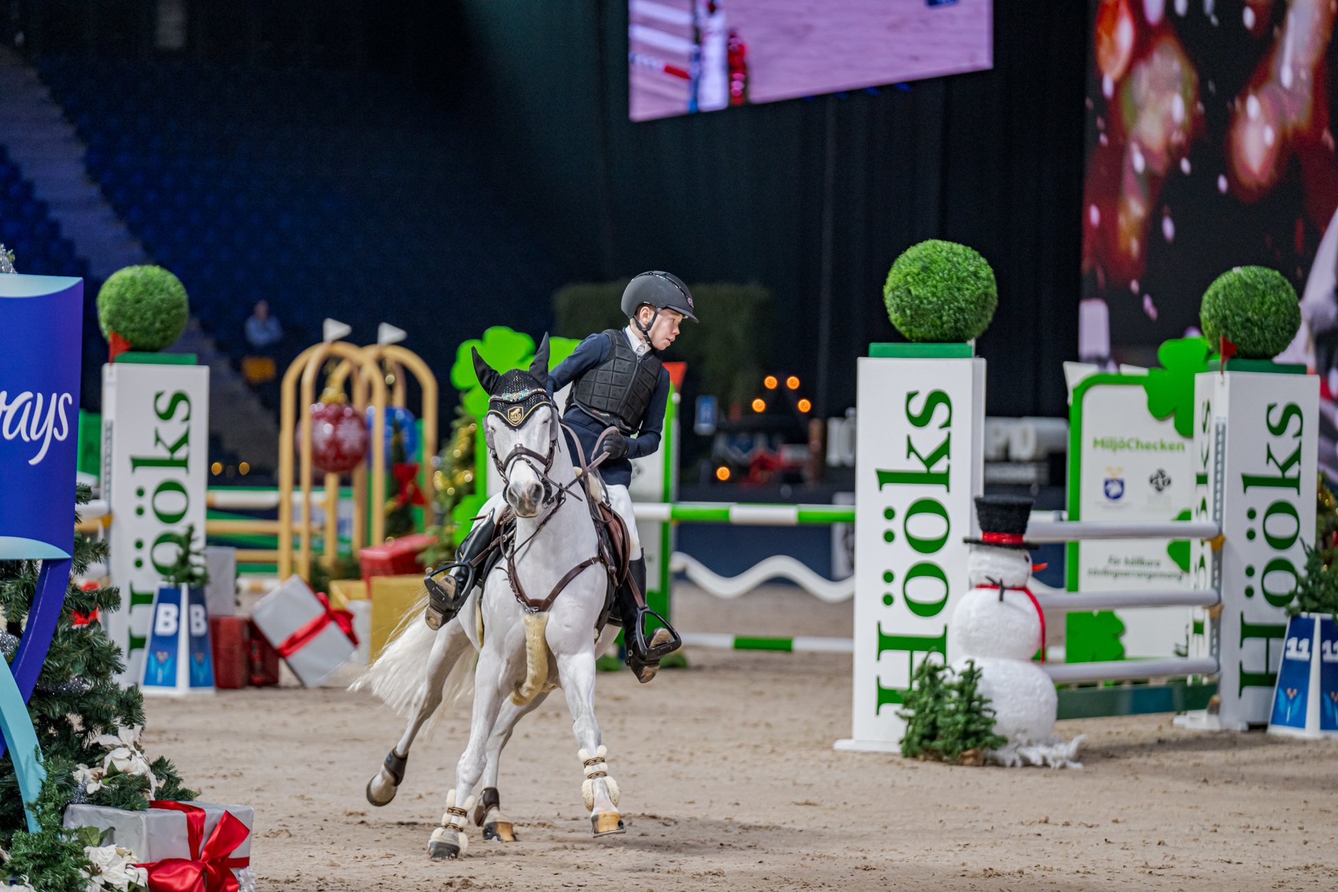 Jonathan Hansson Swe Unsphinx D'hurl 'vent