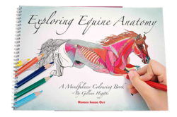 Exploring Equine Anatomy