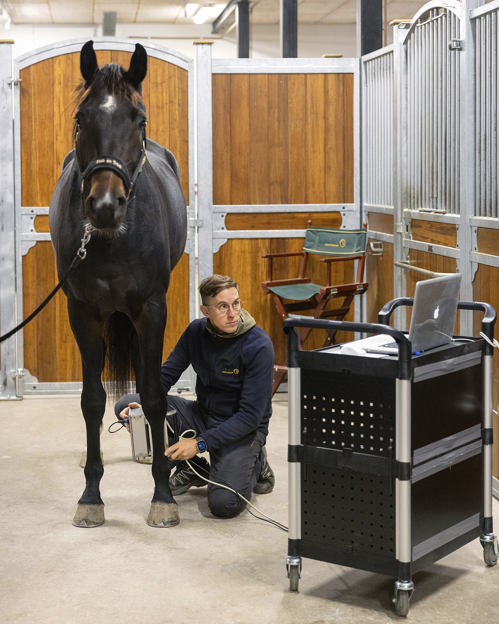 Veterinär Johan Lenz Behandling Av Senskada