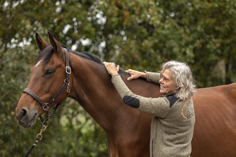 Så ser en normalviktig häst ut