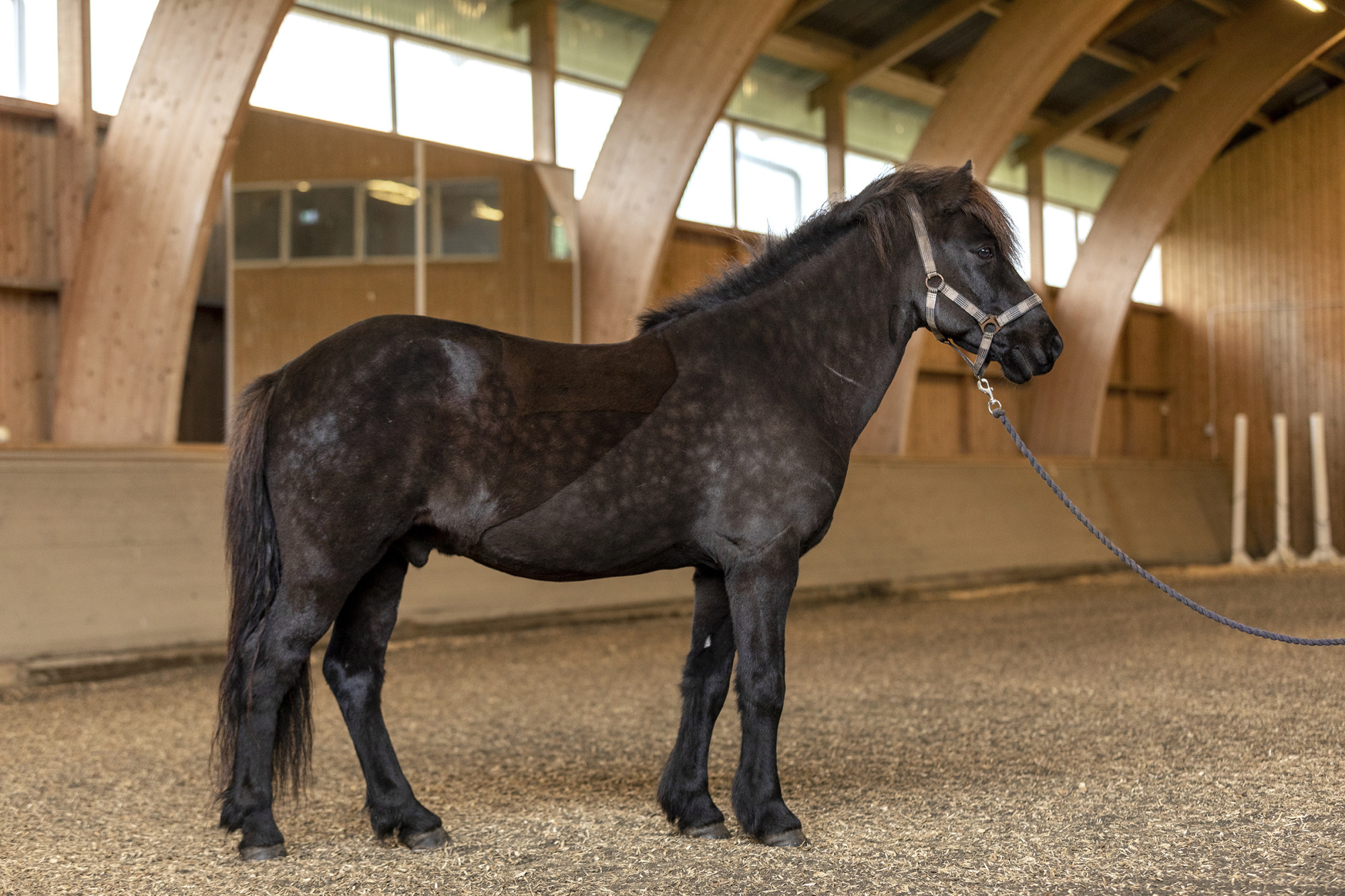 Reportage Hull Hos H&auml;st