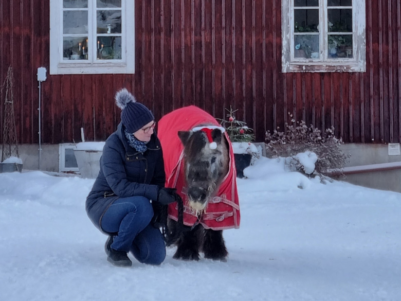Charlotta om ponnyn Fritte, 49: ”Fantastiskt att han blev så gammal”
