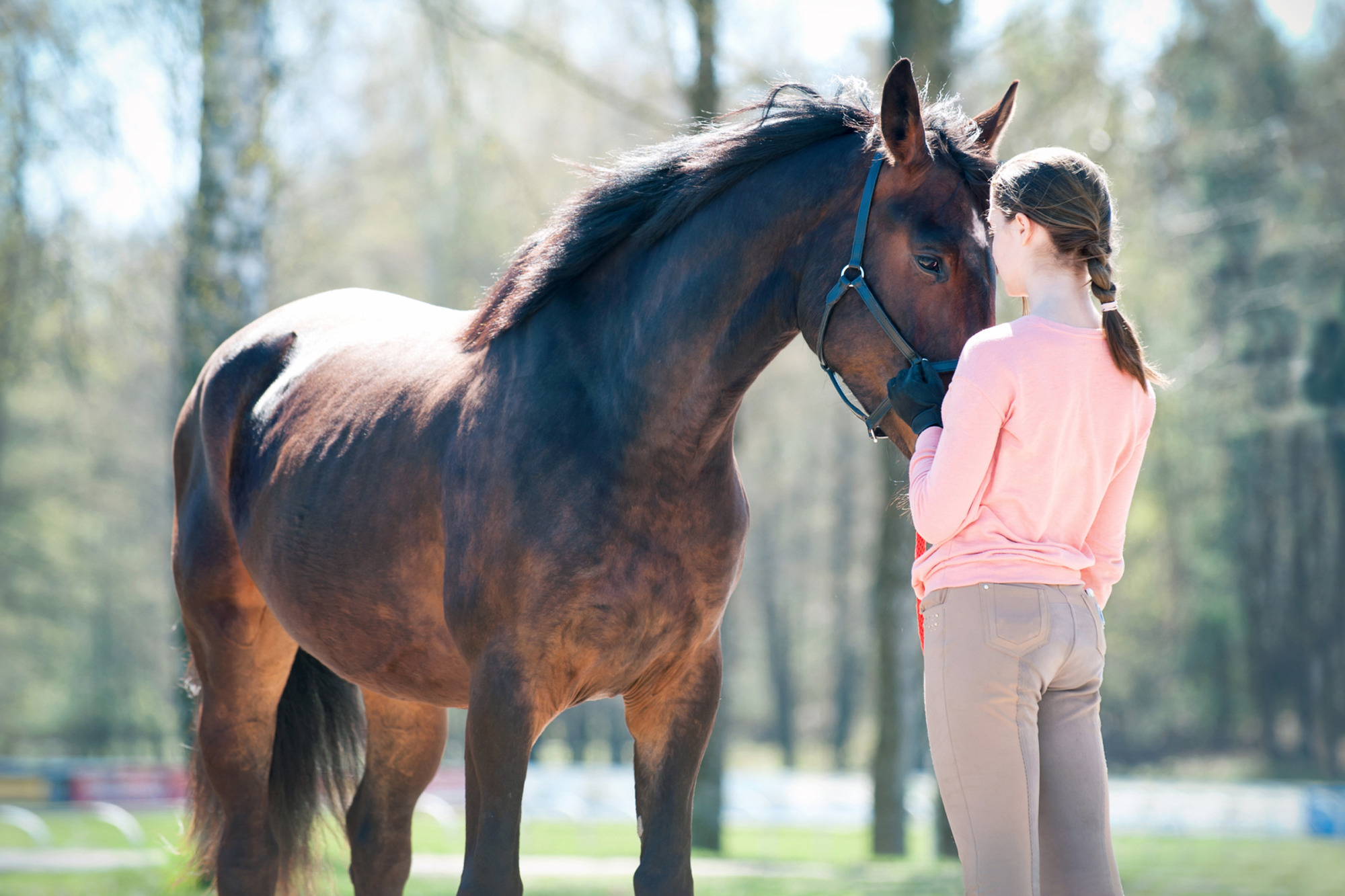 Young Teenage Girl Standing With Her Favorite Brown Horse.