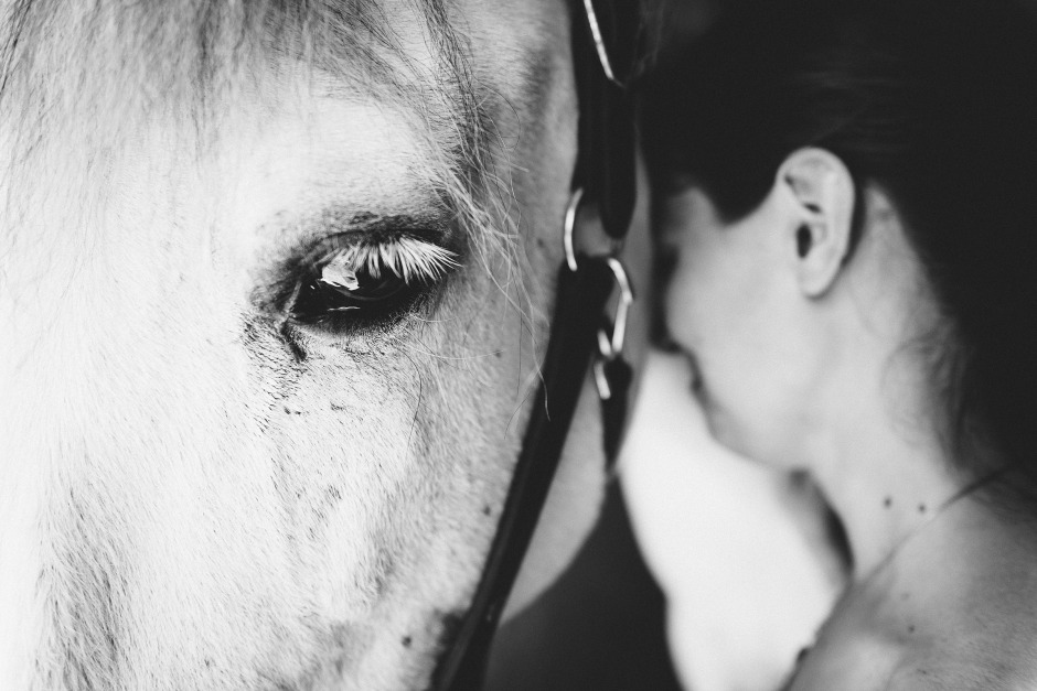 Långt hästliv – ett liv till varje pris?
