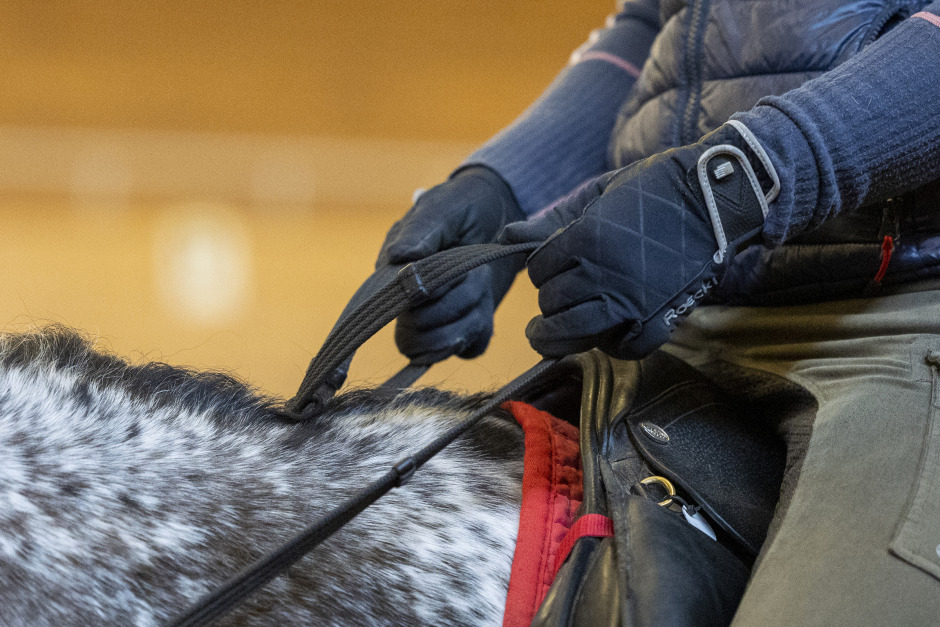 Forskaren: ”Många rider med alltför hög tygelspänning”