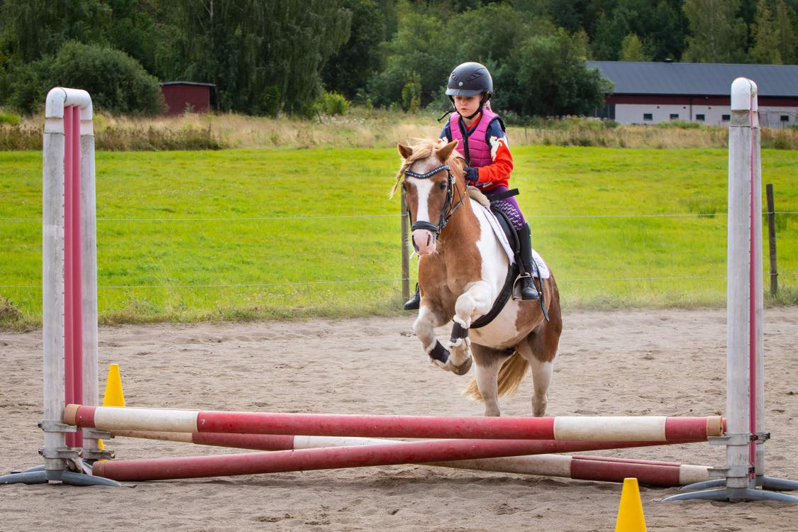 Received667881494189331