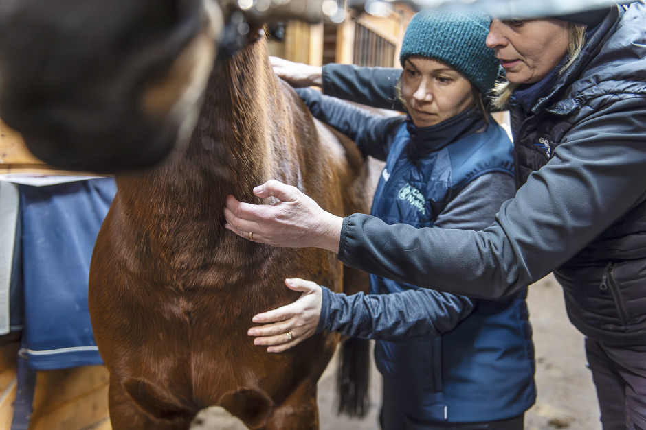 Carolina gick från processindustri till hästfriskvård