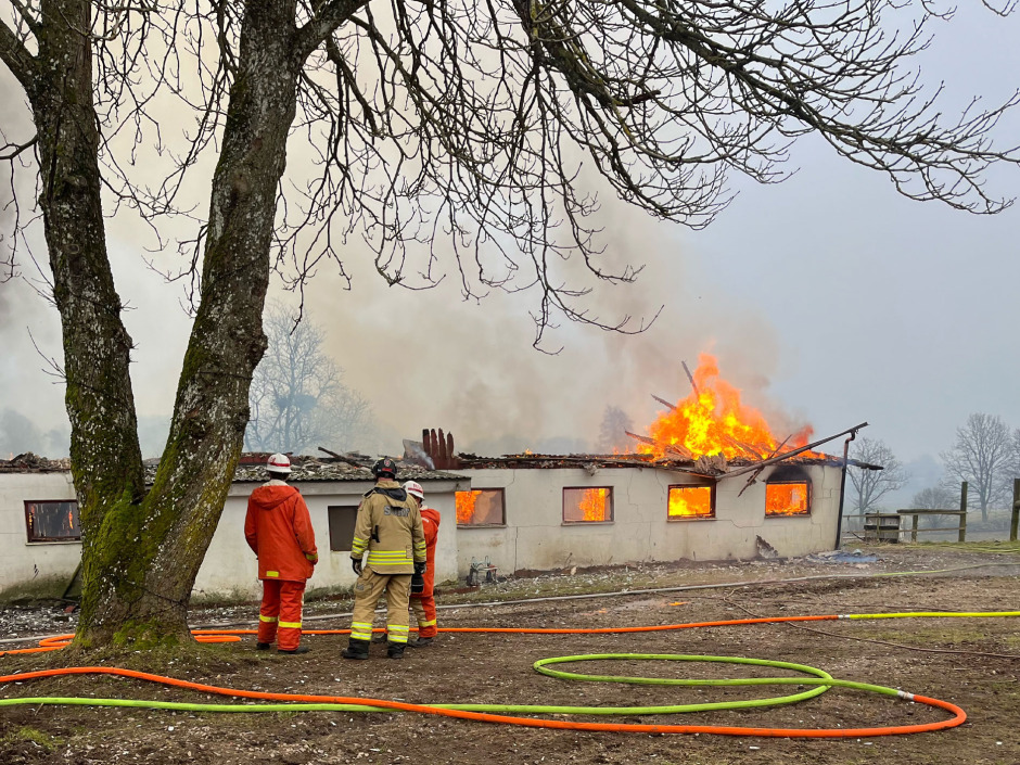 Mattias Delltorp förlorade en häst i branden: ”Skrek rakt ut”
