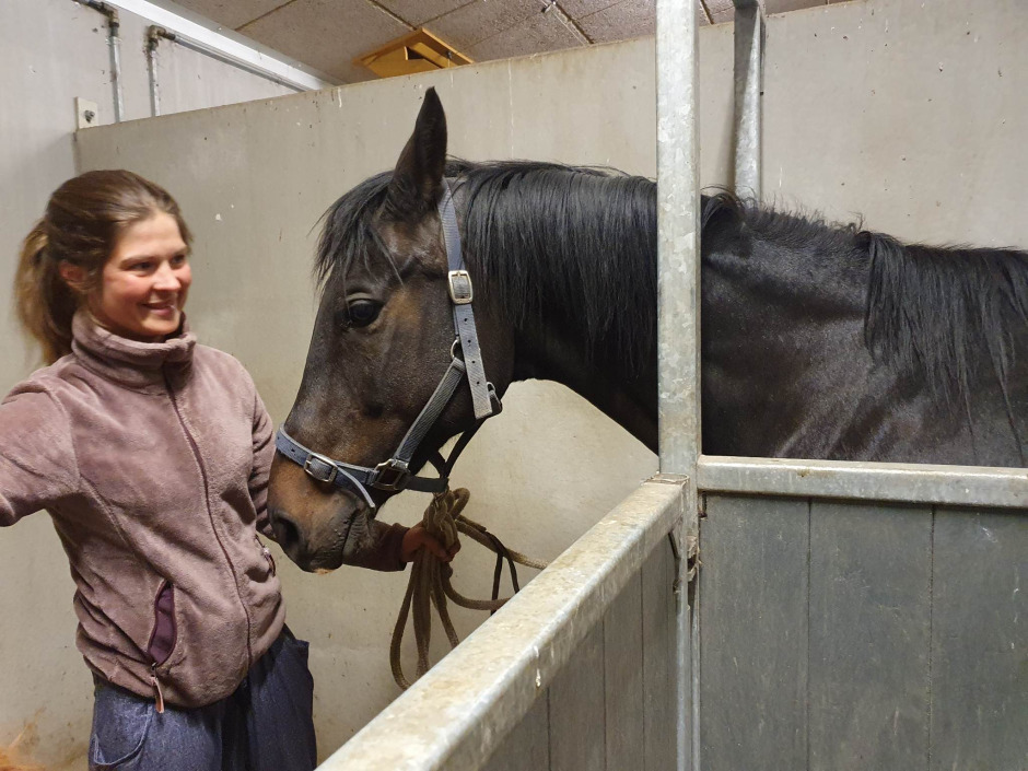 Ridlärarbloggen: Varför behöver vi alltid förklara oss?