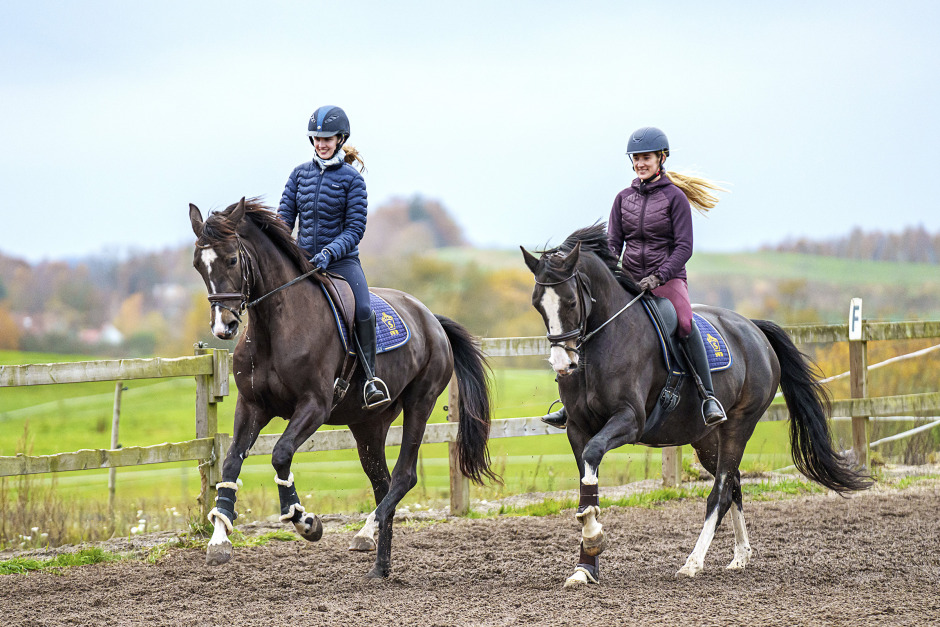 Verbena Dressage näst bäst i världen på dressyravel