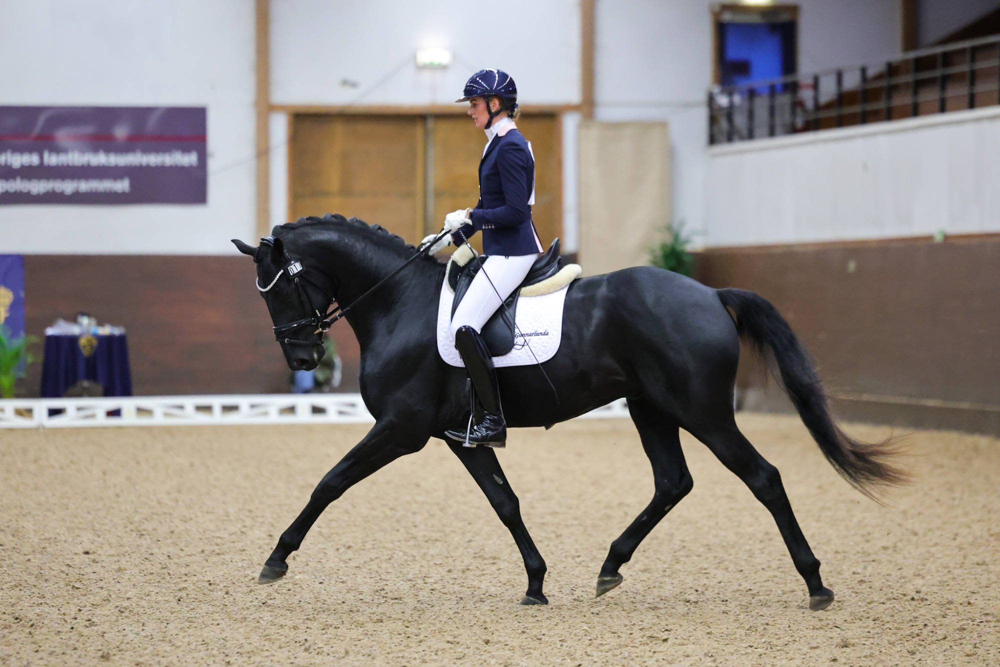 Alicia Ryan Total Dream 1b7a7689