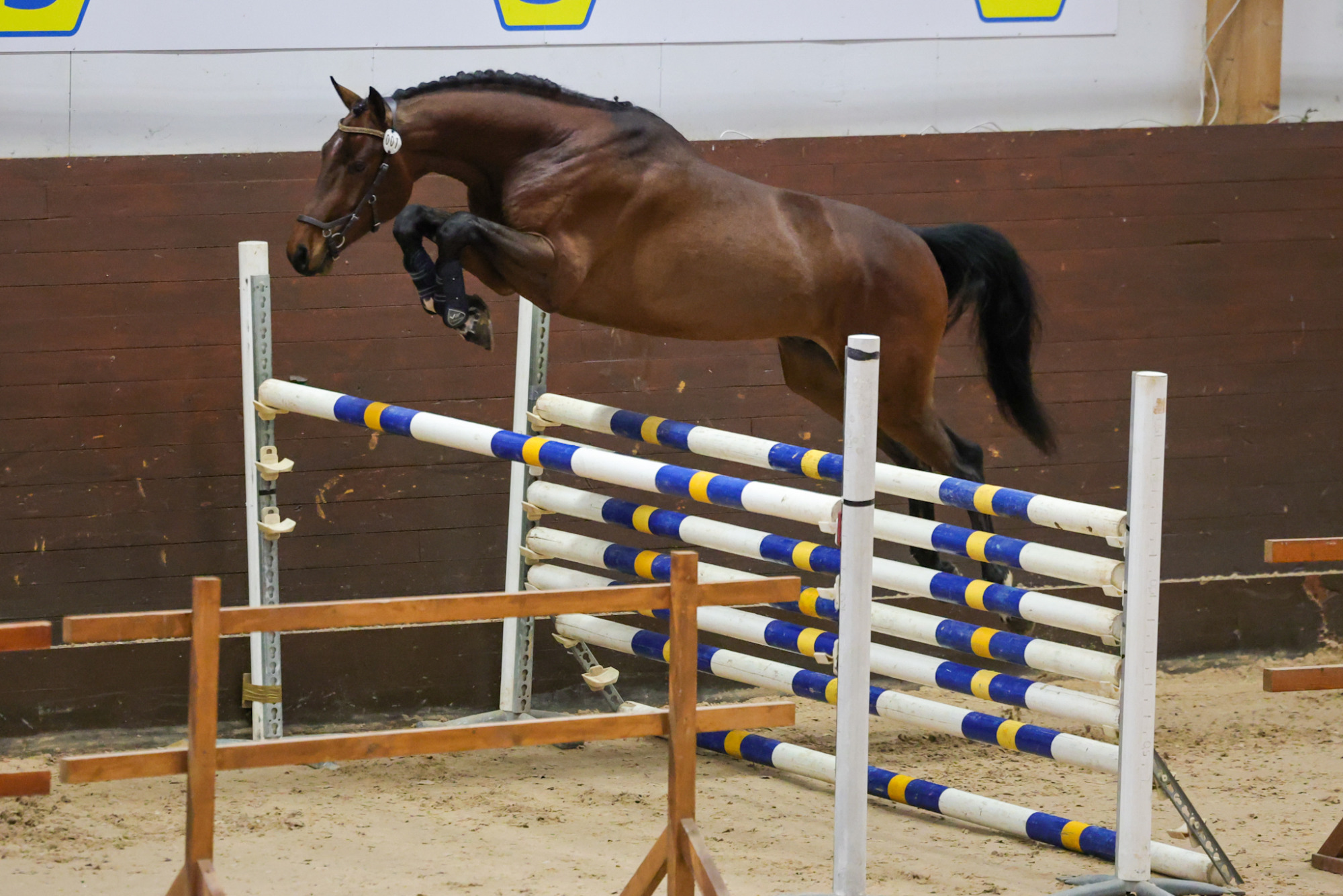 A Magic Twist 1b7a5462