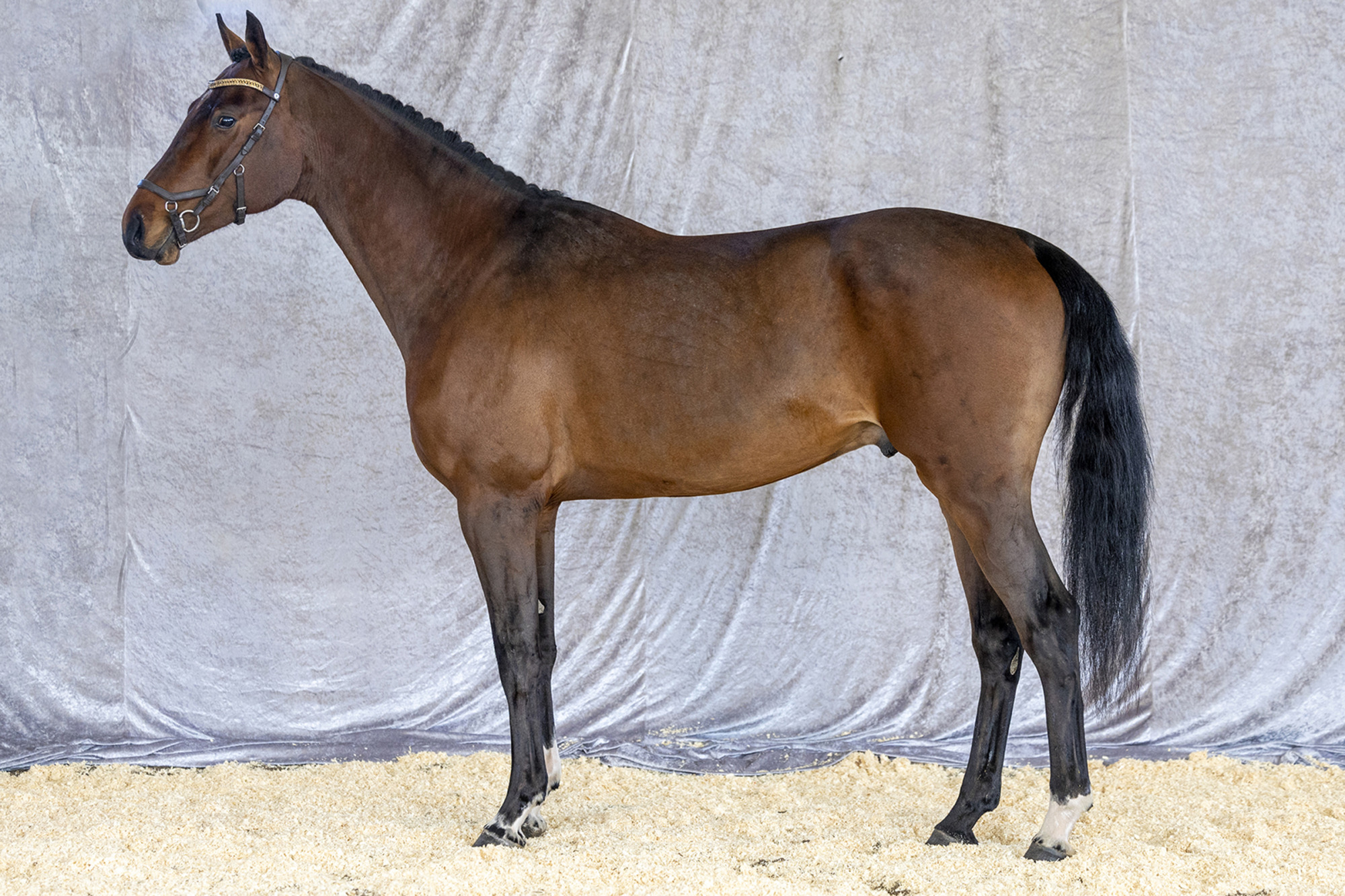 Str&ouml;msholm
A Magic Twist.
Photo: Roland Thunholm
Code: 718 35