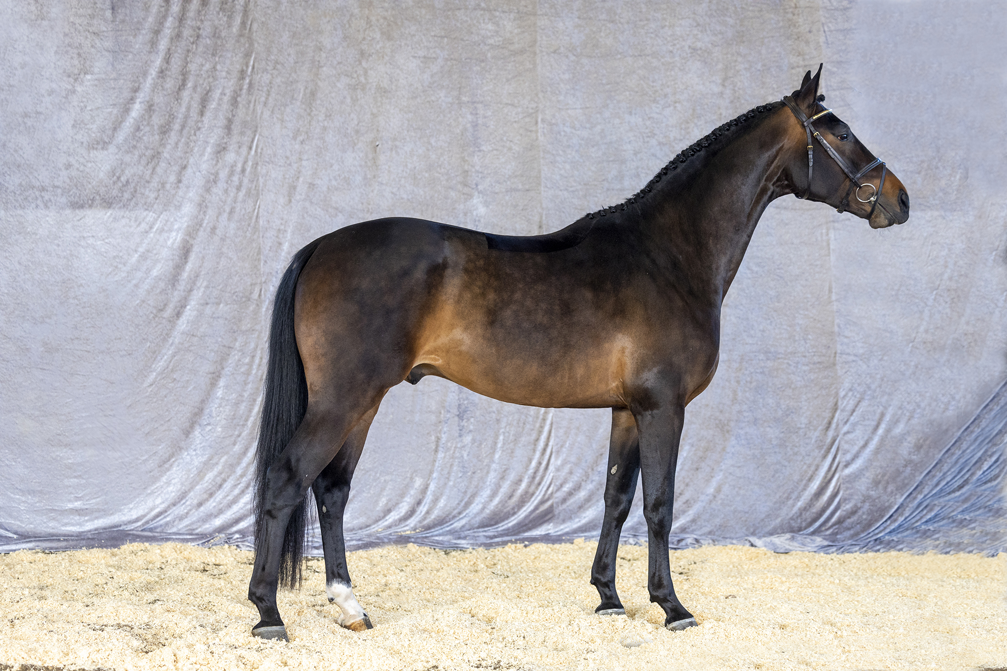 Str&ouml;msholm
Avec F.
Photo: Roland Thunholm
Code: 718 35