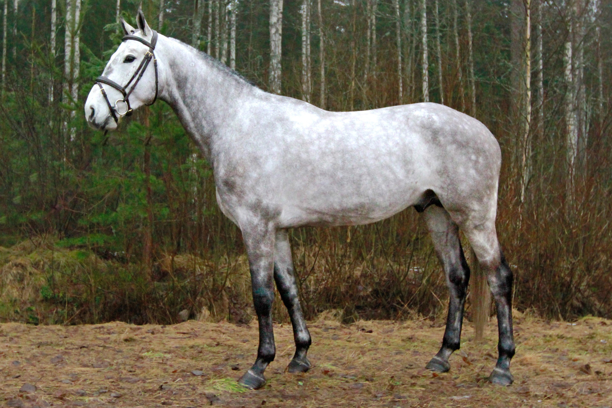 Blue Sky_fotograf Oskar Lundqvist