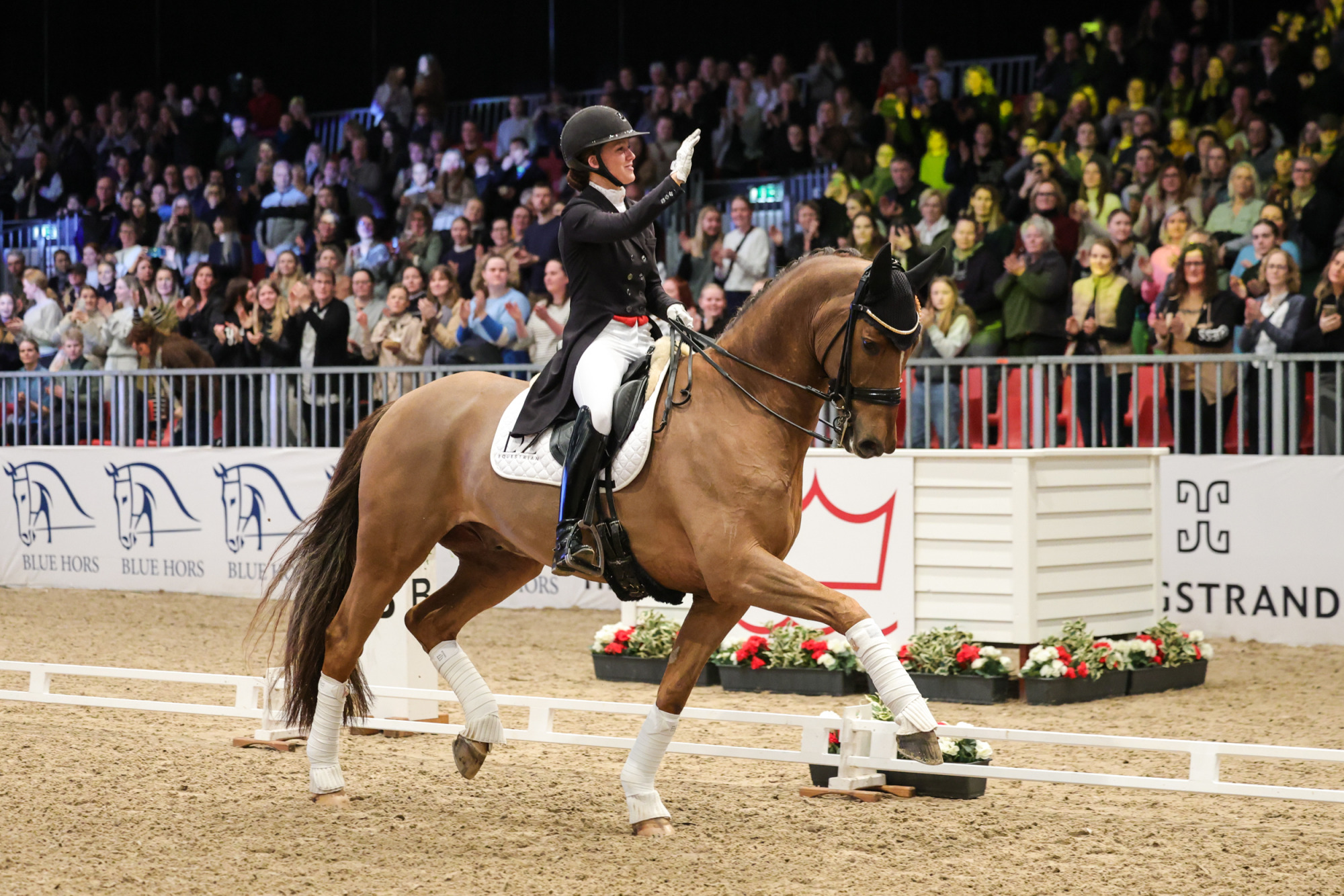 Cathrine Laudrup Dufour Vividus Qre-8049