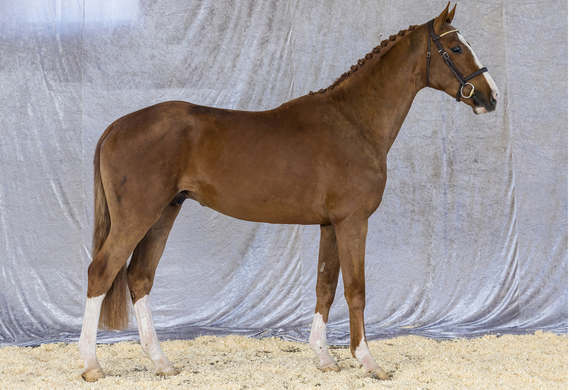 Str&ouml;msholm
Comtinius Sn
Photo: Roland Thunholm
Code: 718 35