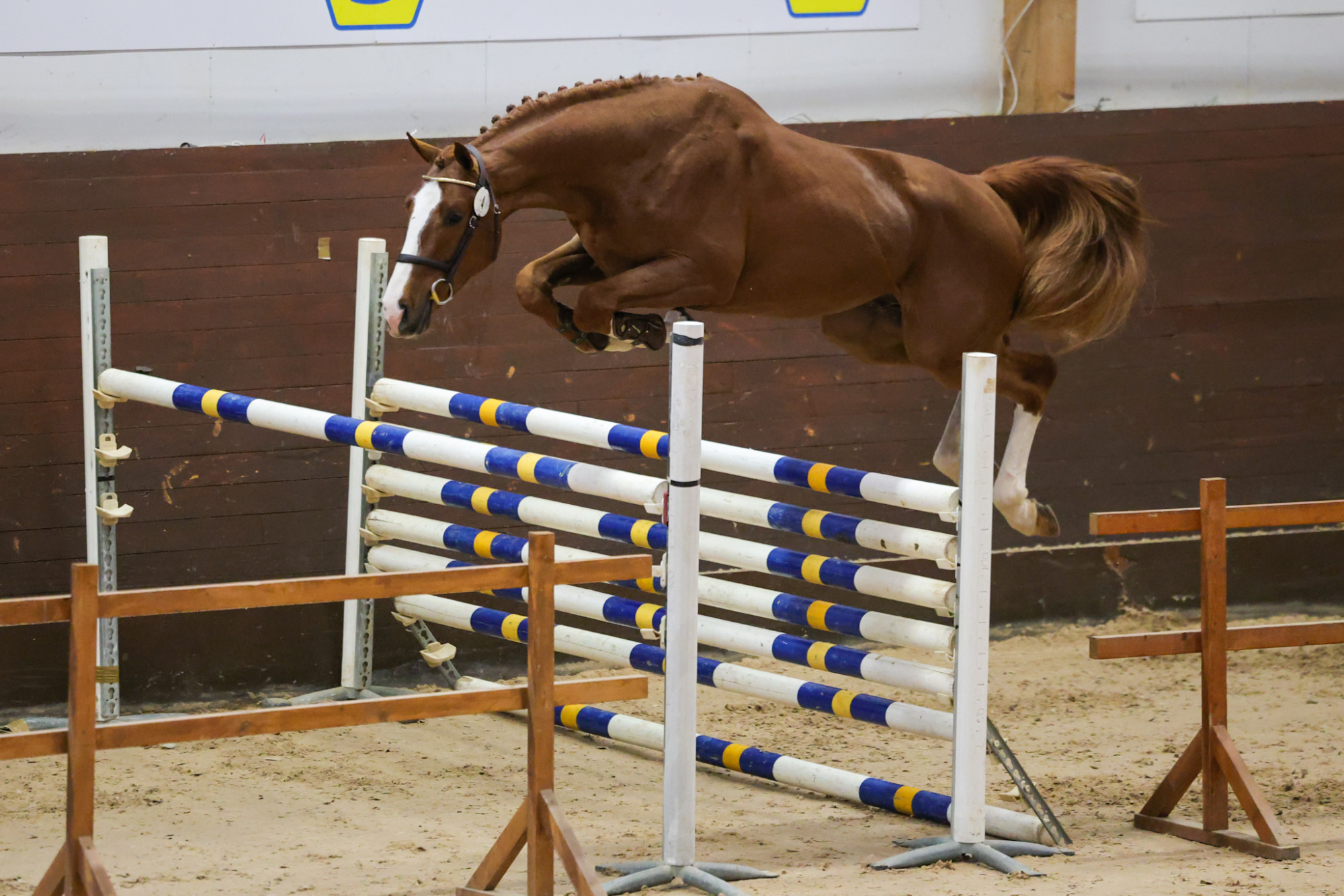 Comtinus Sn 1b7a5492