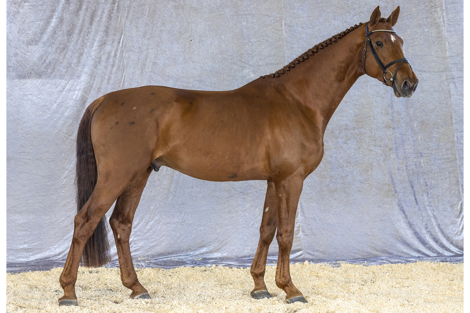 Str&ouml;msholm
Costes.
Photo: Roland Thunholm
Code: 718 35