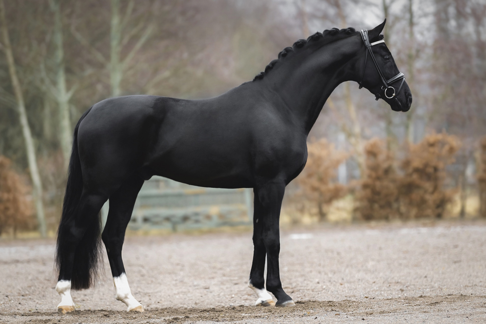 Date Night_fotograf Jenna Vainionp&auml;&auml;