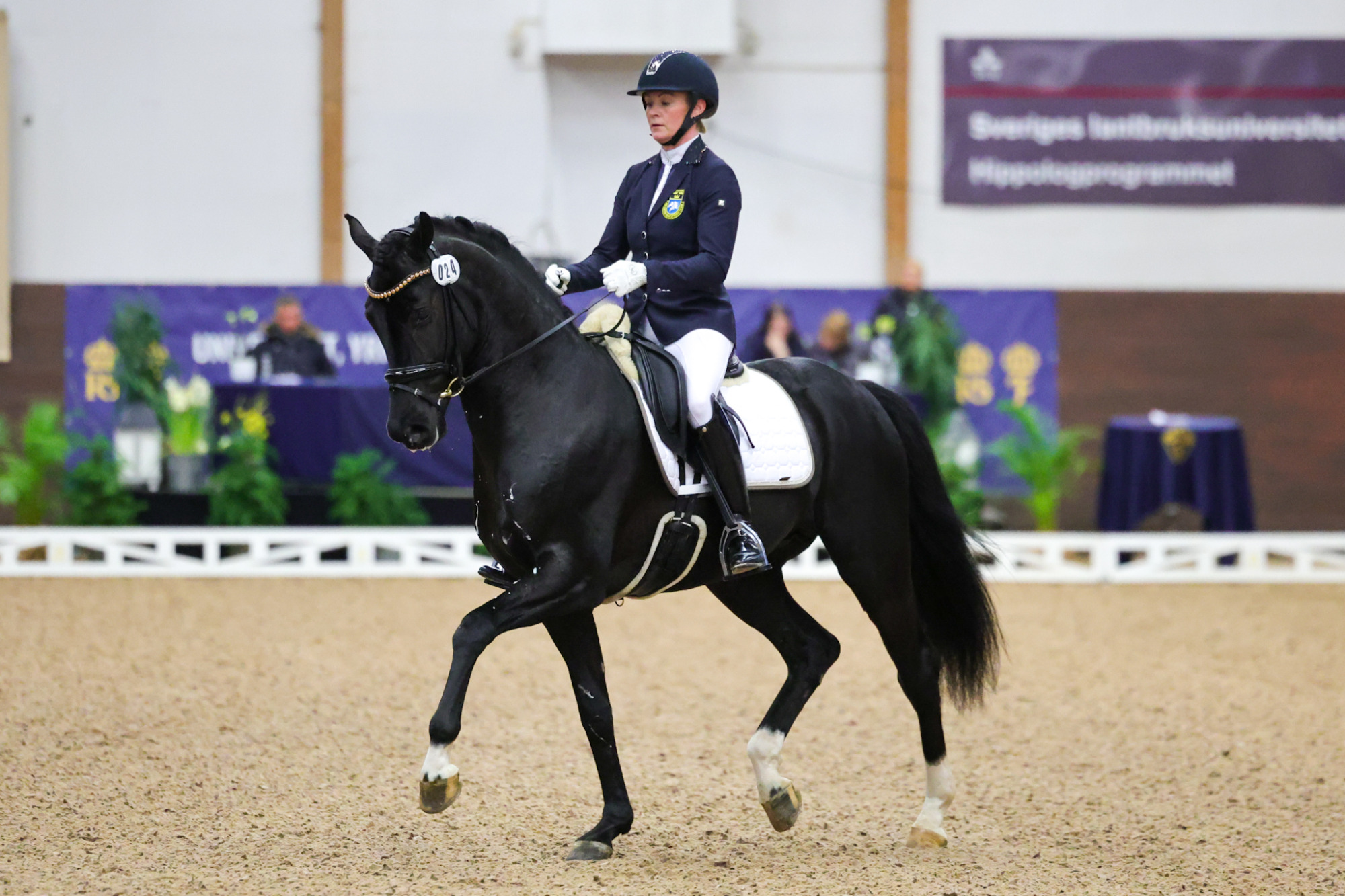 Date Night Jeanna Högberg 1b7a6610