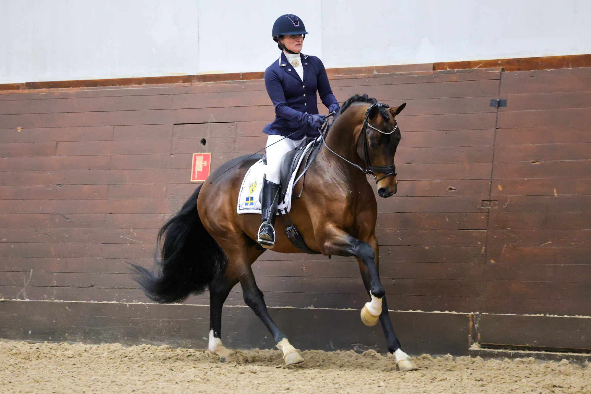 Devin Franco Gj 1b7a6595