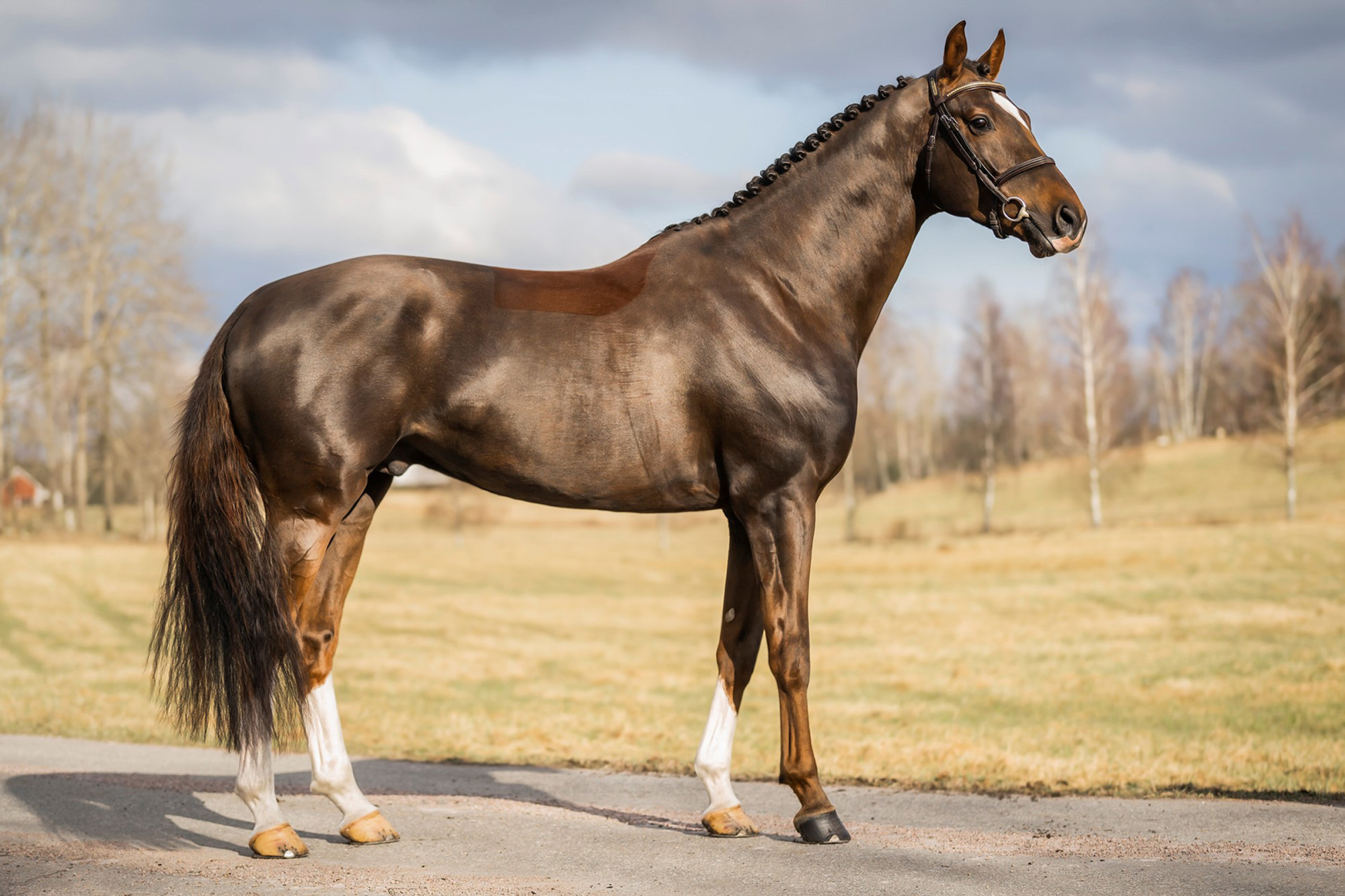 Diamond Heart Mg_fotograf Jenna Vainionp&auml;&auml;. Jpg