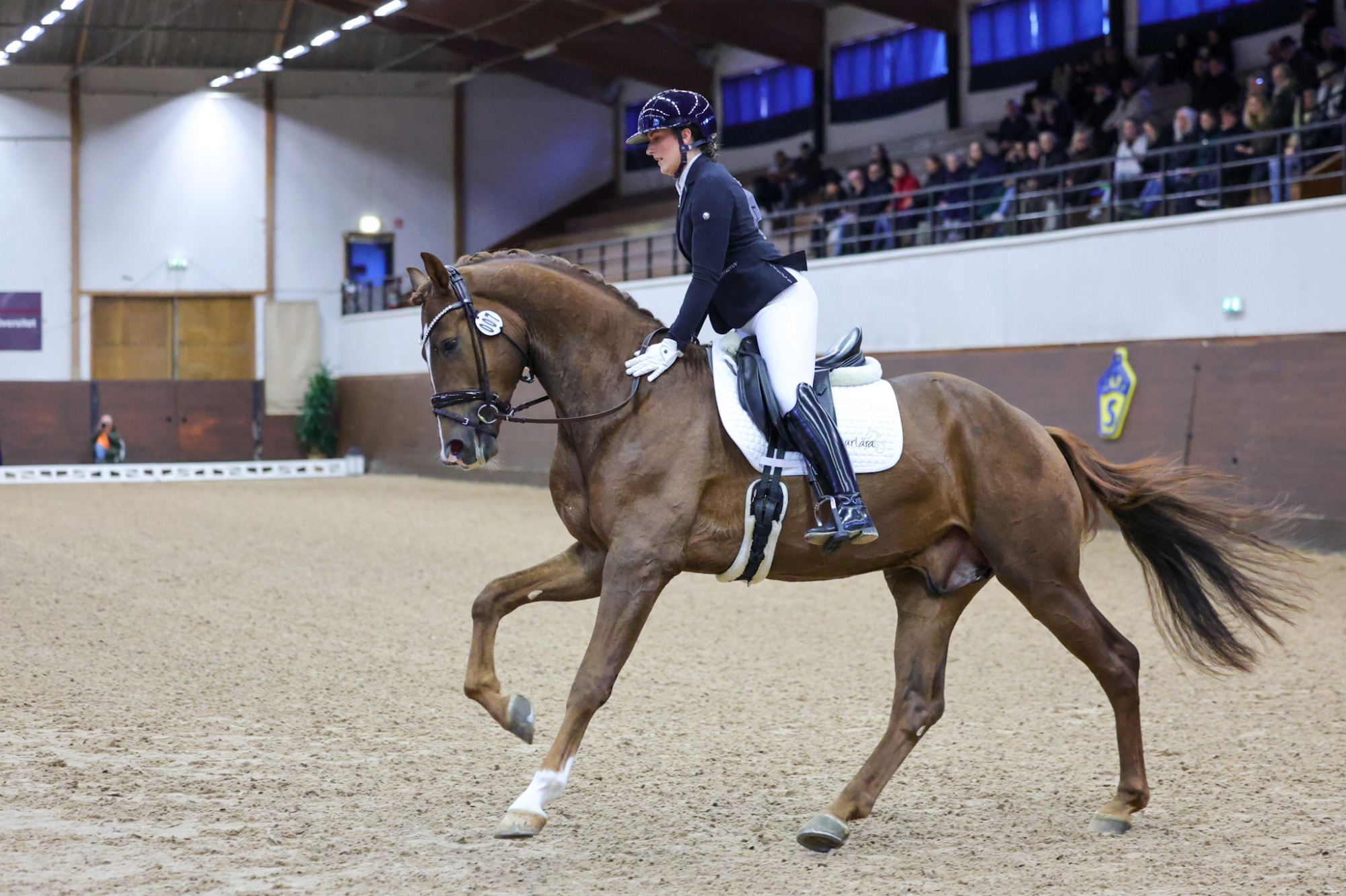 Dynamite Ps Cecilia Bergåkra1b7a6403