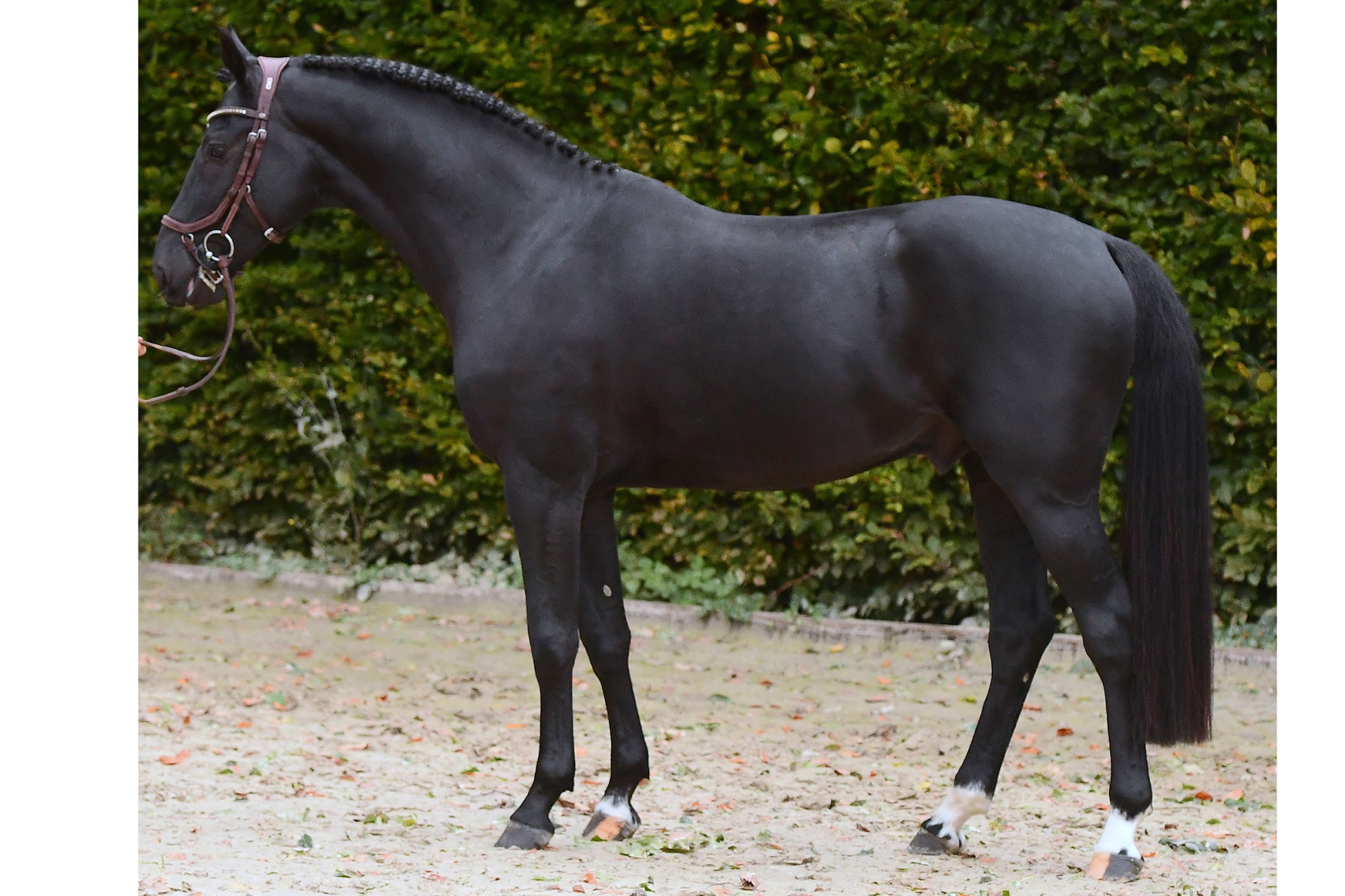 I'm Extra Eb_fotograf Janne Bugtrup