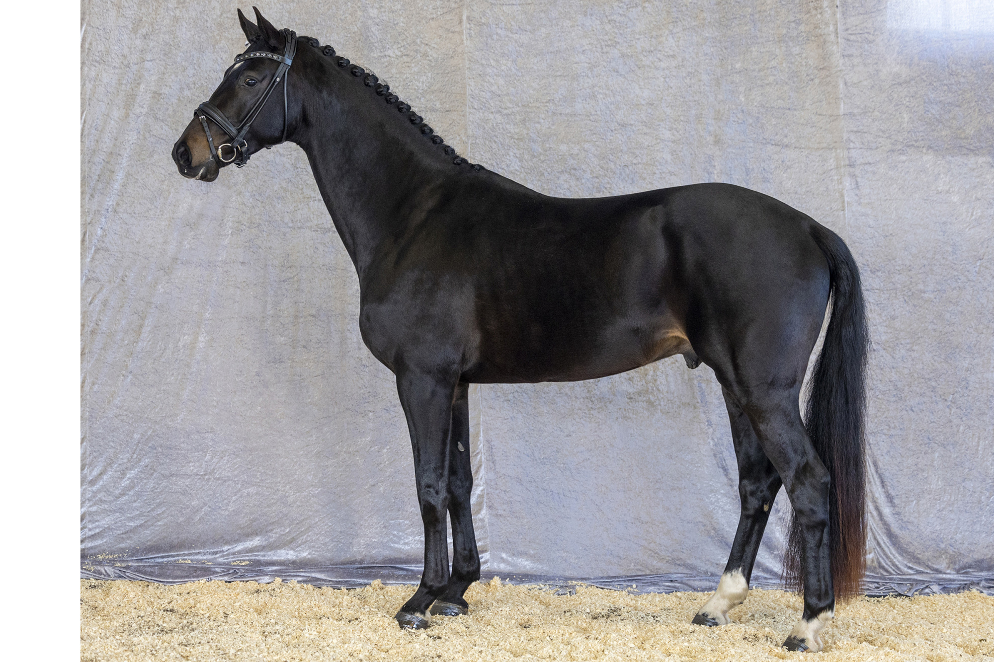 Str&ouml;msholm
Indium Ts.
Photo: Roland Thunholm
Code: 718 35