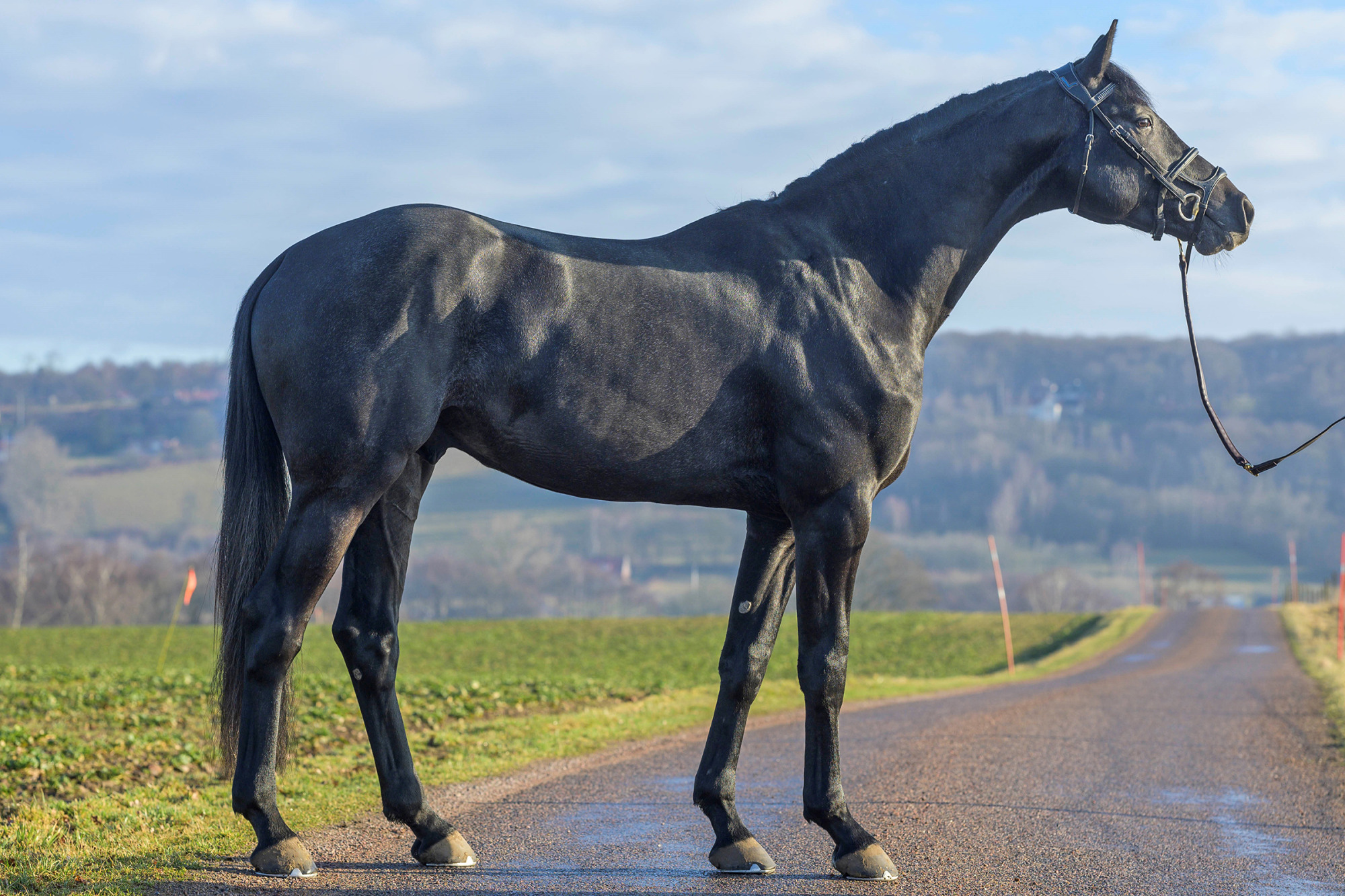 Ken_fotograf Peter Nolin