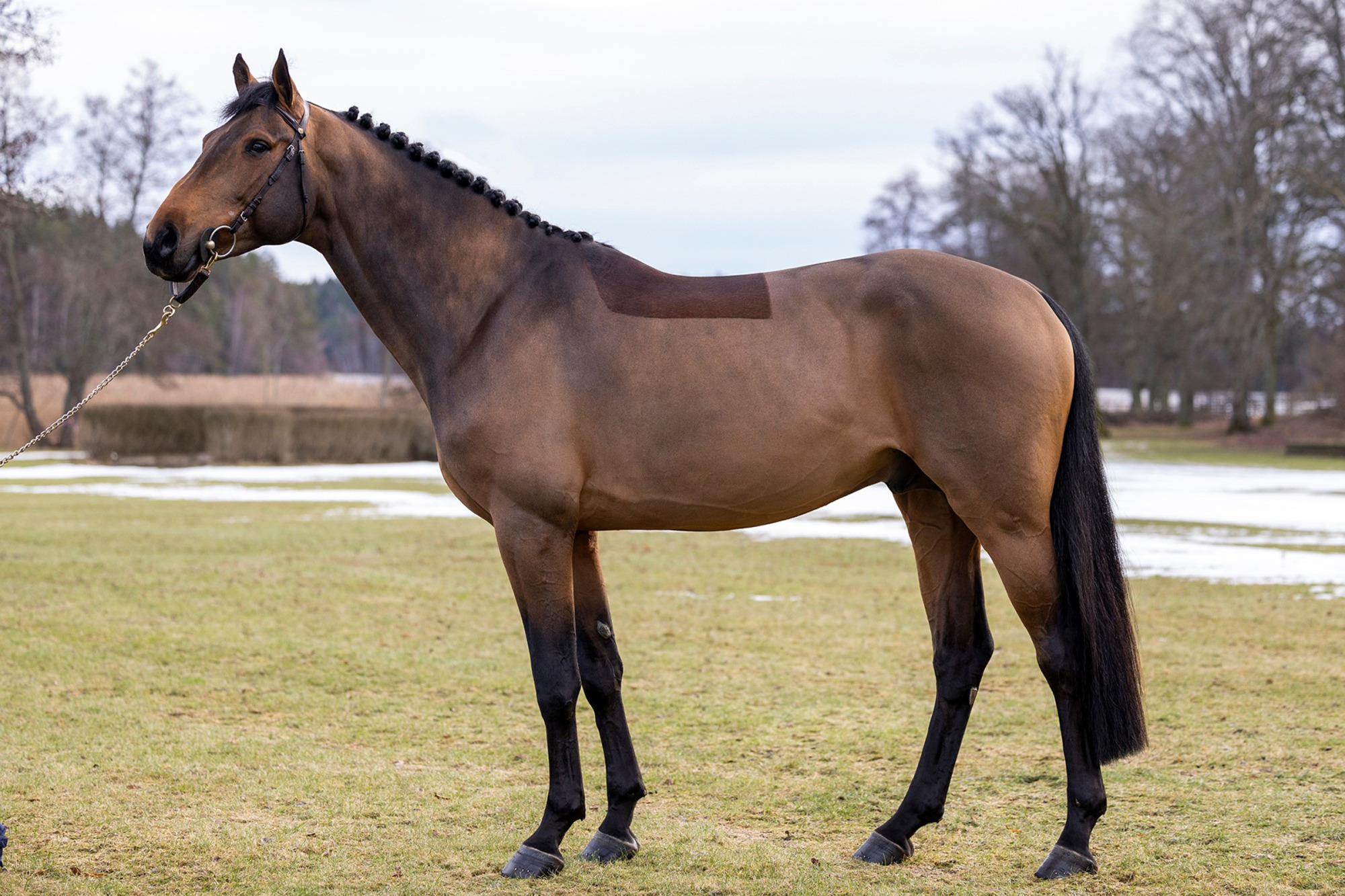 Lumiere He.ro_fotograf Roland Thunholm