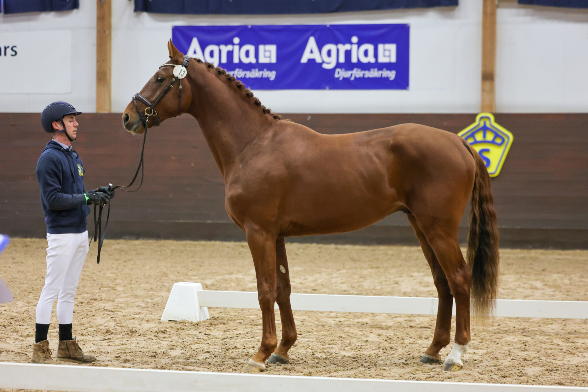 Make_it_magic_1b7a3915