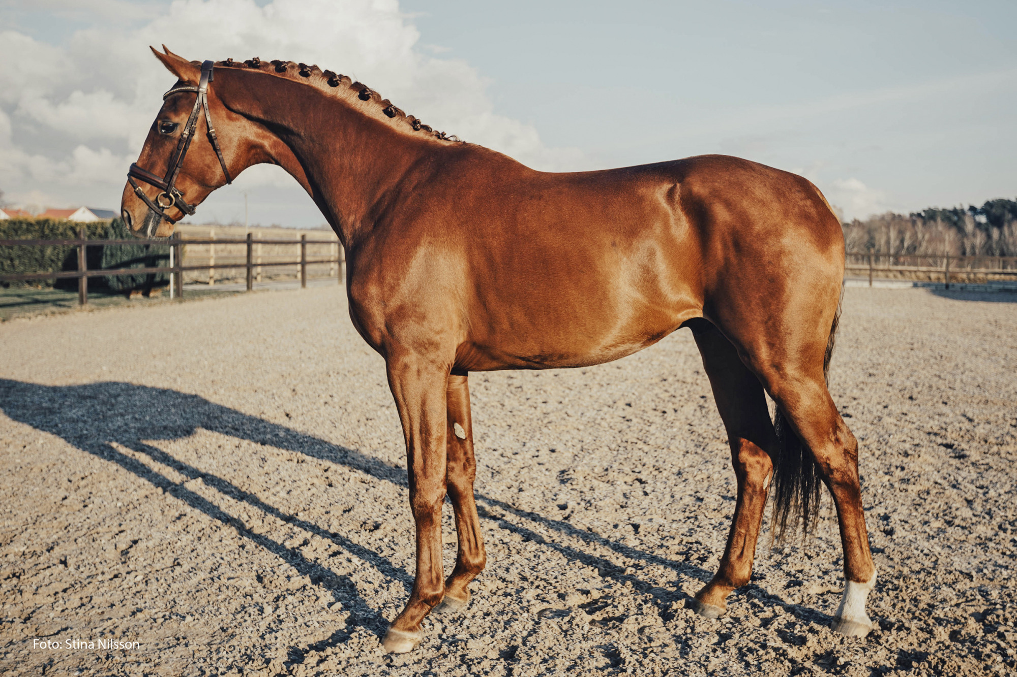 Make It Magic_fotograf Stina Nilsson