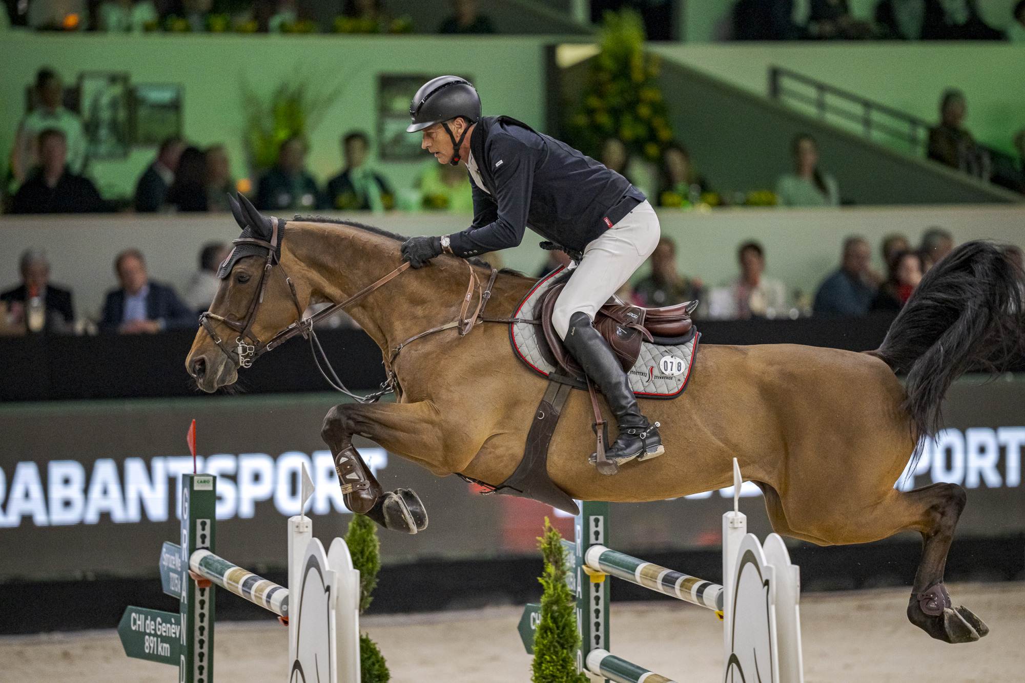 Marc Houtzager (ned) Sterrehof's Dante