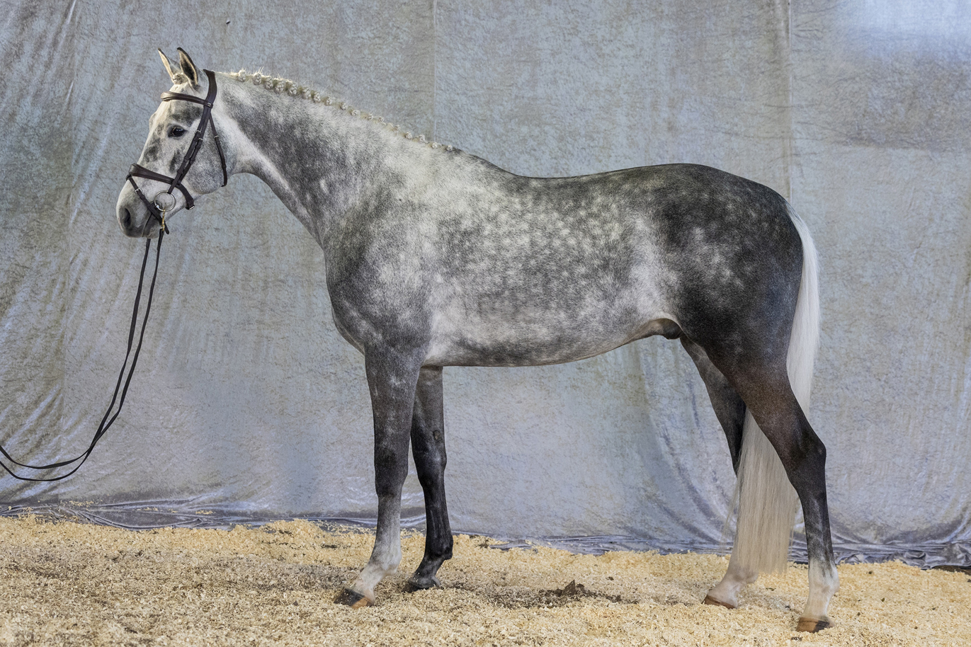 Str&ouml;msholm
Millions Of East.
Photo: Roland Thunholm
Code: 718 35