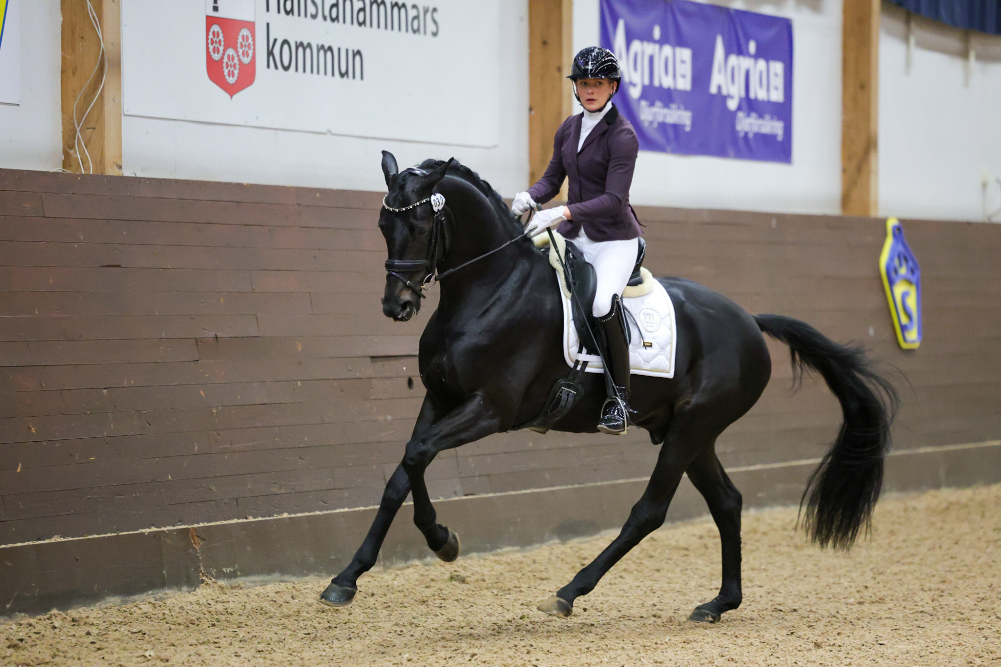 Morricello Ii Vh Rianna Percy1b7a7601