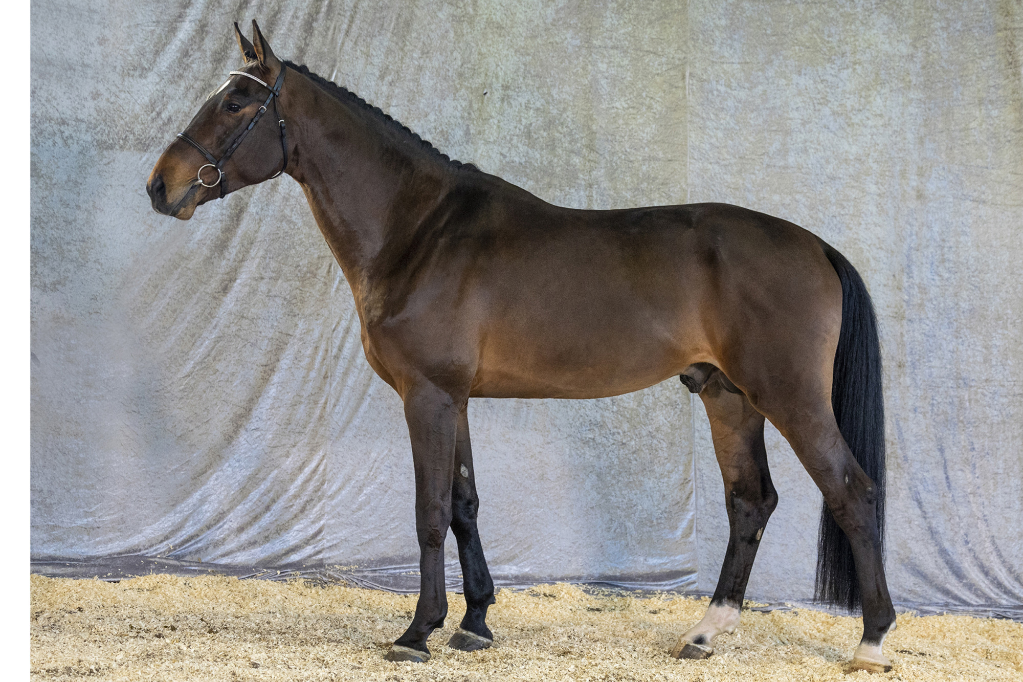 Str&ouml;msholm
Ojoy Kj
Photo: Roland Thunholm
Code: 718 35