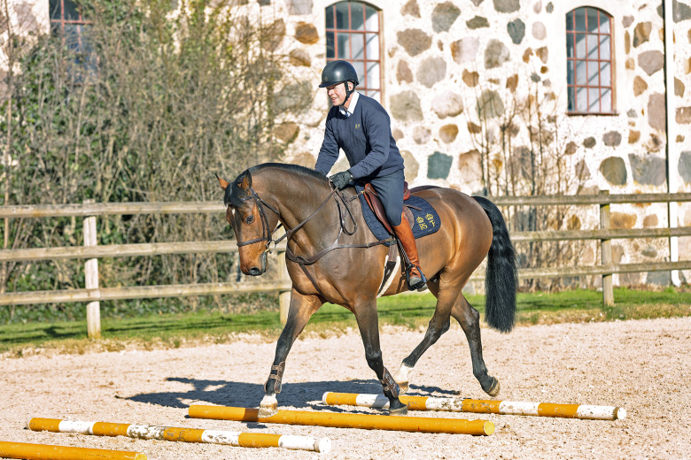 Jens Fredricson: ”Bra utbildning av både häst och ryttare är grunden”