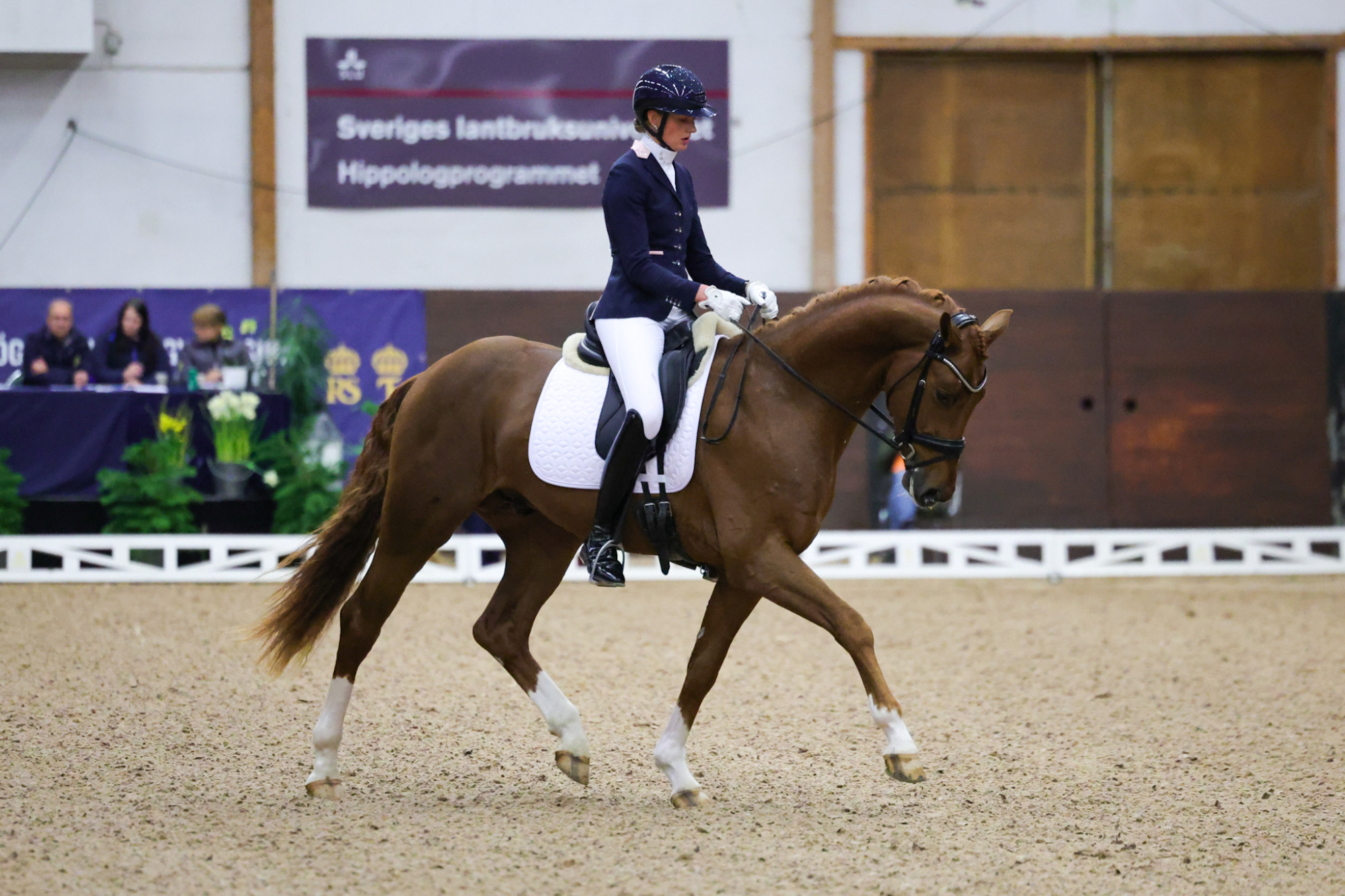 Scarabus Vh Alicia Ryan1b7a7080