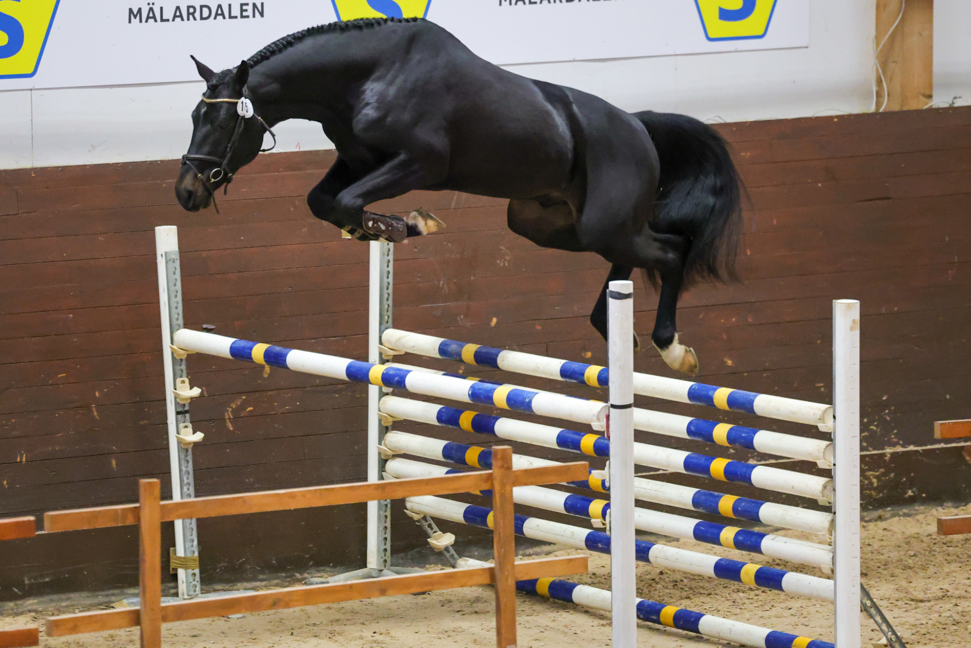 Skorphults Tigger 1b7a5638