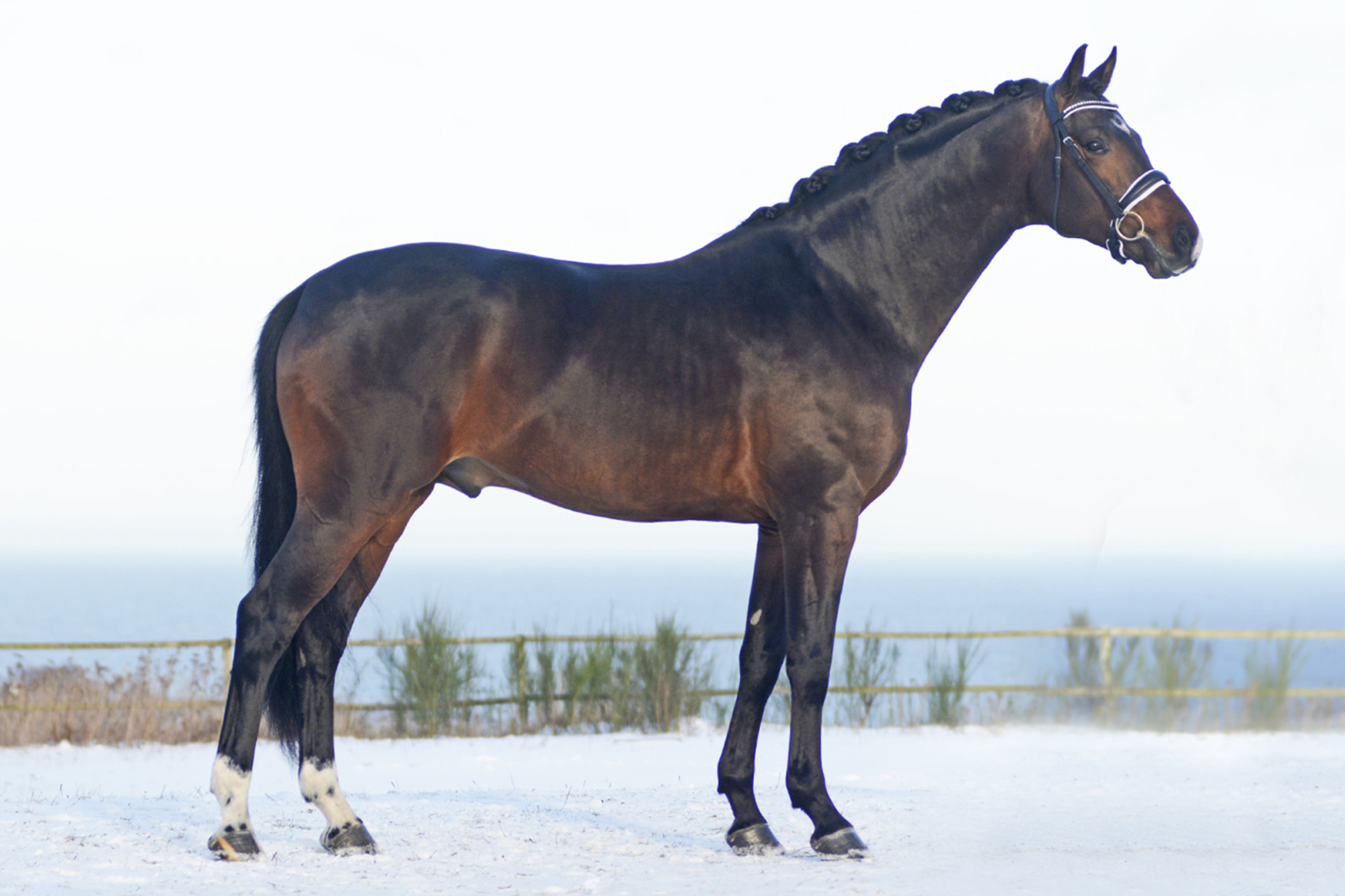 Sundown_fotograf_laila Berglund