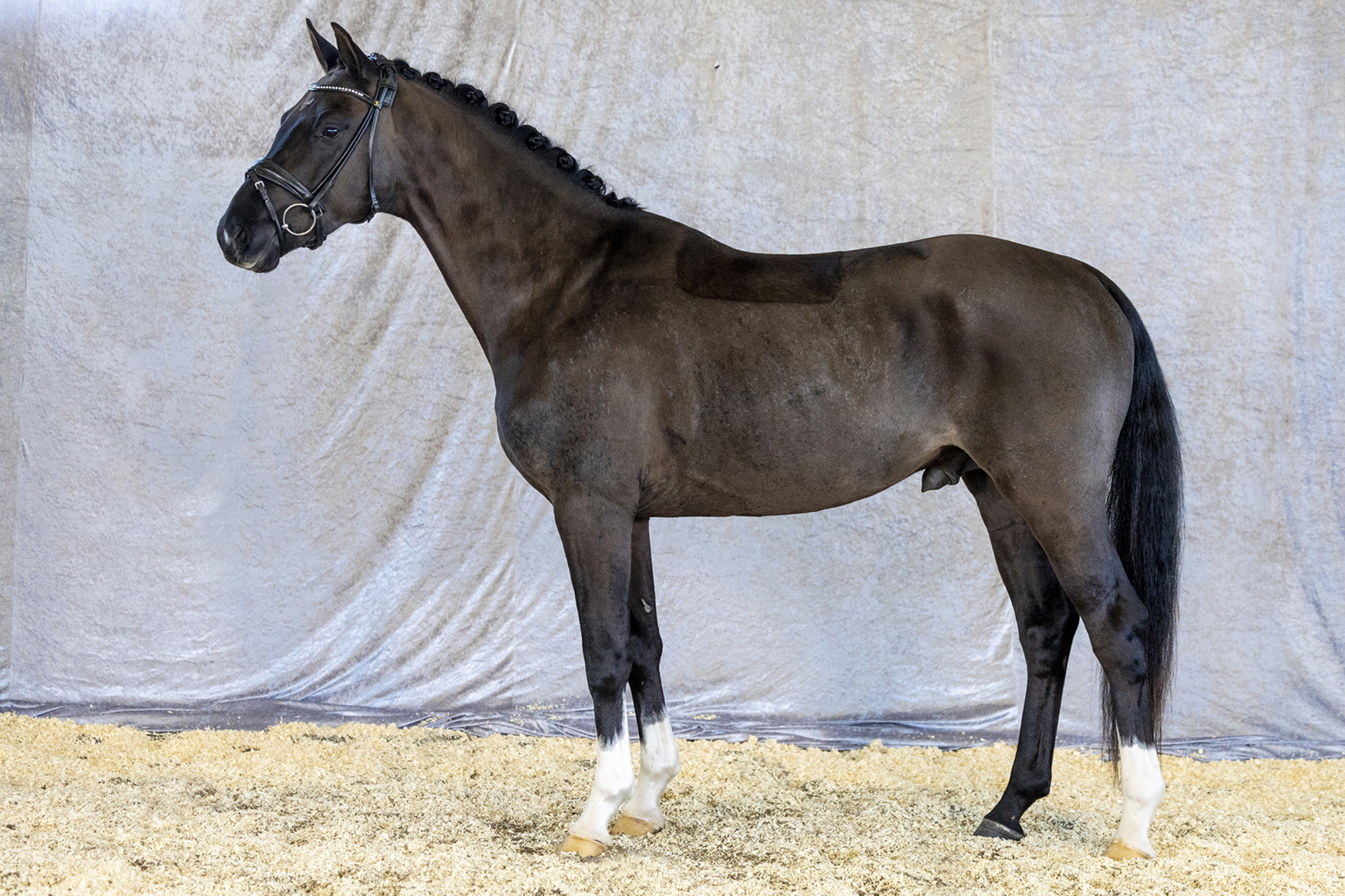 Str&ouml;msholm
Tmd&acute;s Don&acute;t Care.
Photo: Roland Thunholm
Code: 718 35