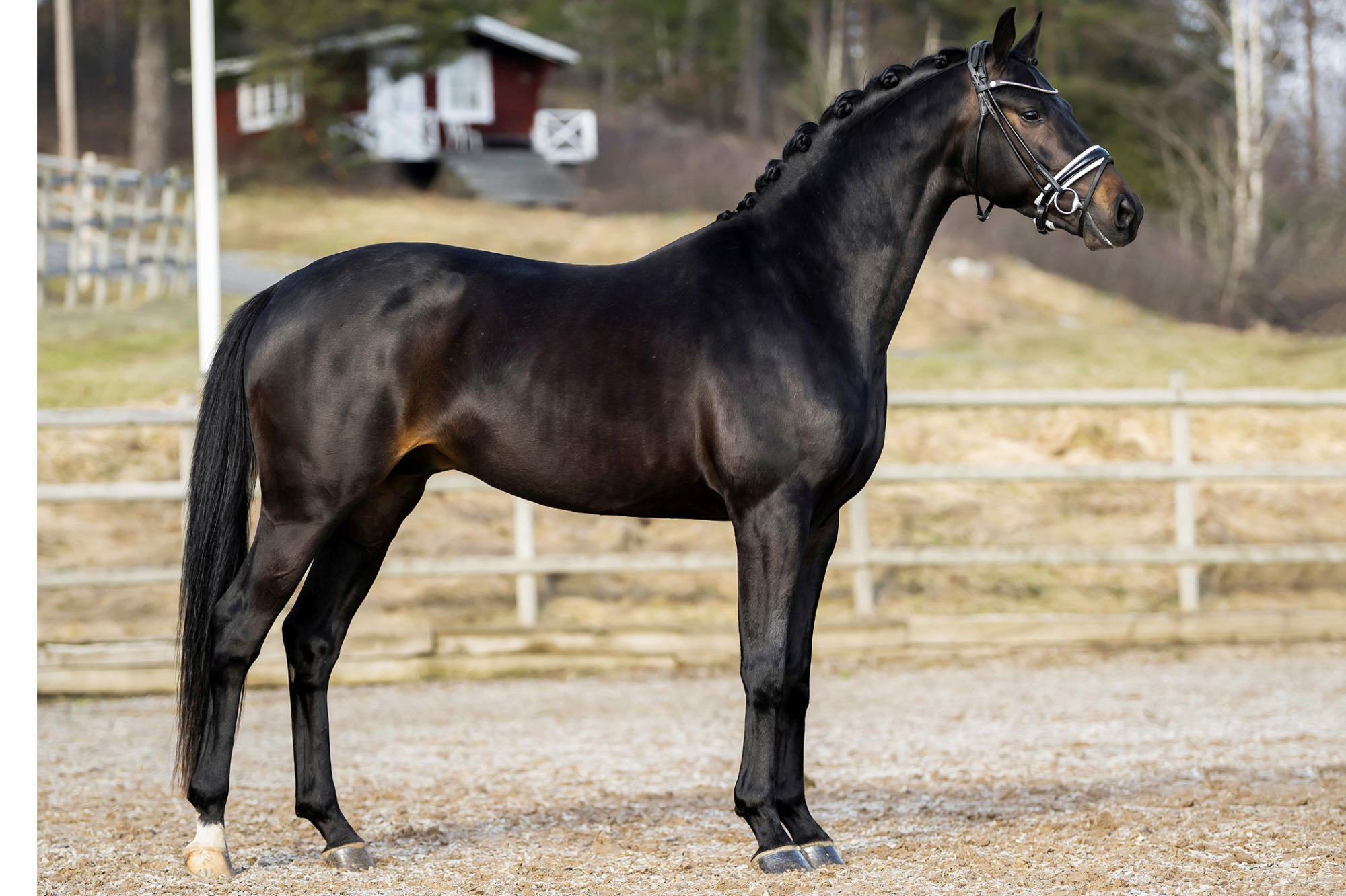 Top Secret_fotograf Jenna Vainionp&auml;&auml;