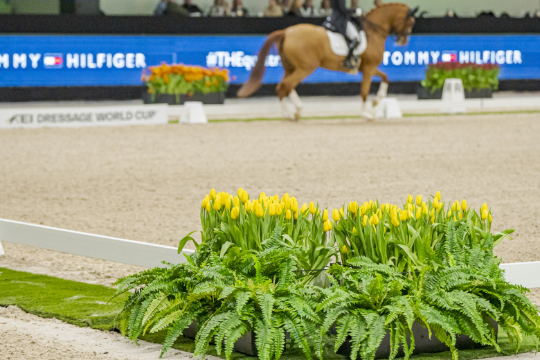 Rick Helmink: ”Dressyrfolket vill inte förändras”