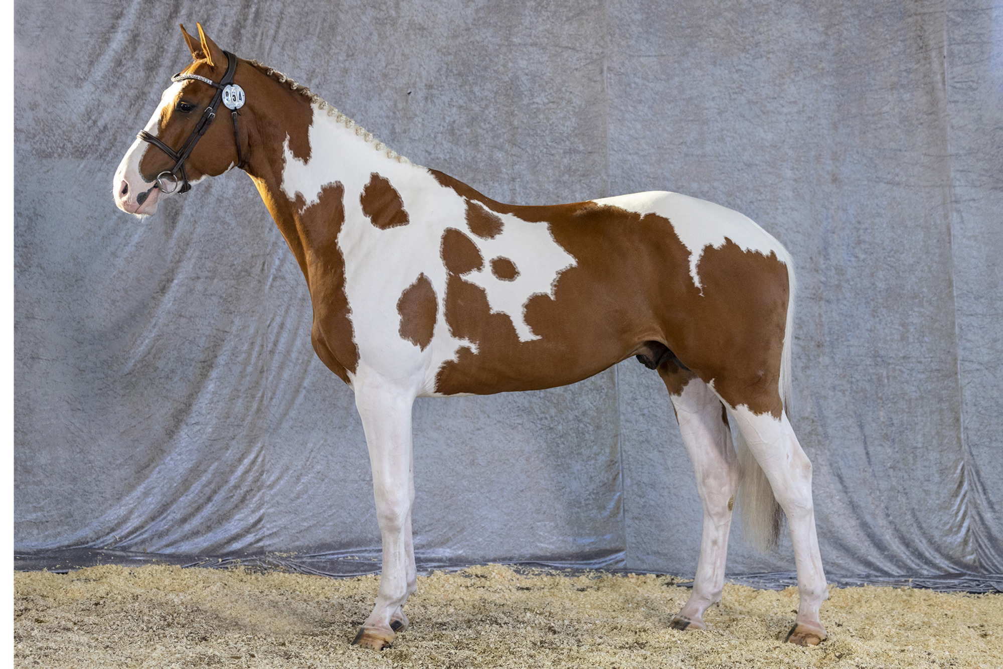 Str&ouml;msholm
Unique Ice T.
Photo: Roland Thunholm
Code: 718 35