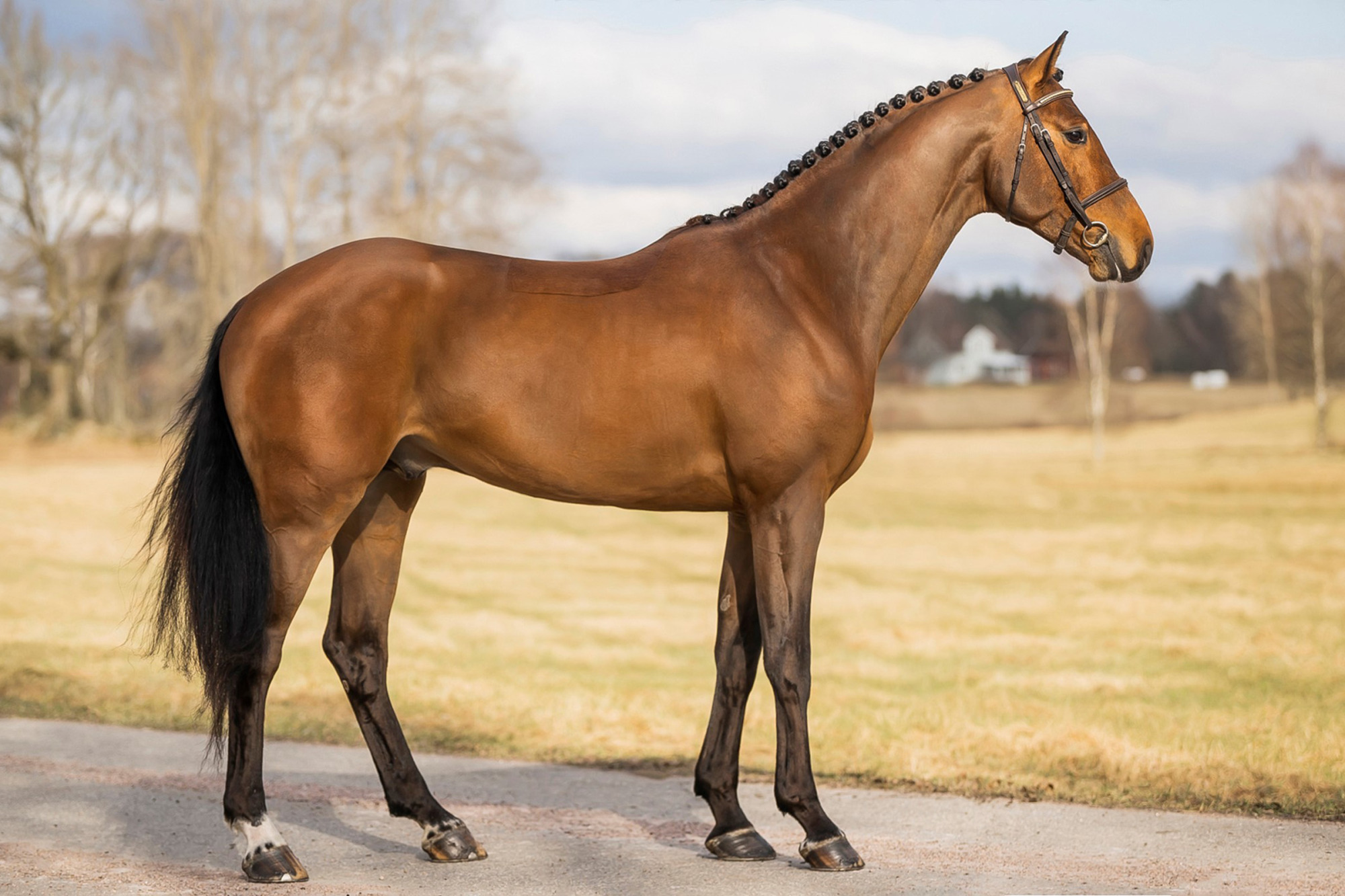 Upper Class M&m_fotograf Jenna Vainionp&auml;&auml;.j Pg