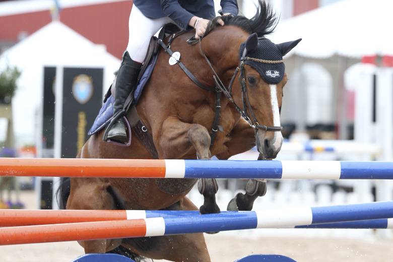 Unga hästar i kläm när banorna blir för svåra